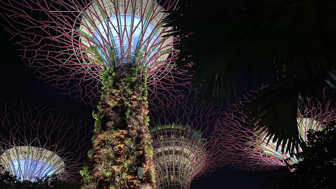 Singapur, Nacht, Palme, Feuerwerk, Sehenswürdigkeit. Wallpaper in 1280x720 Resolution