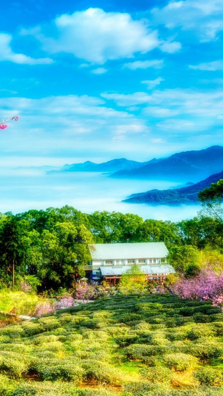 台湾, 弹簧, 性质, 天空, 安装的风景 壁纸 720x1280 允许