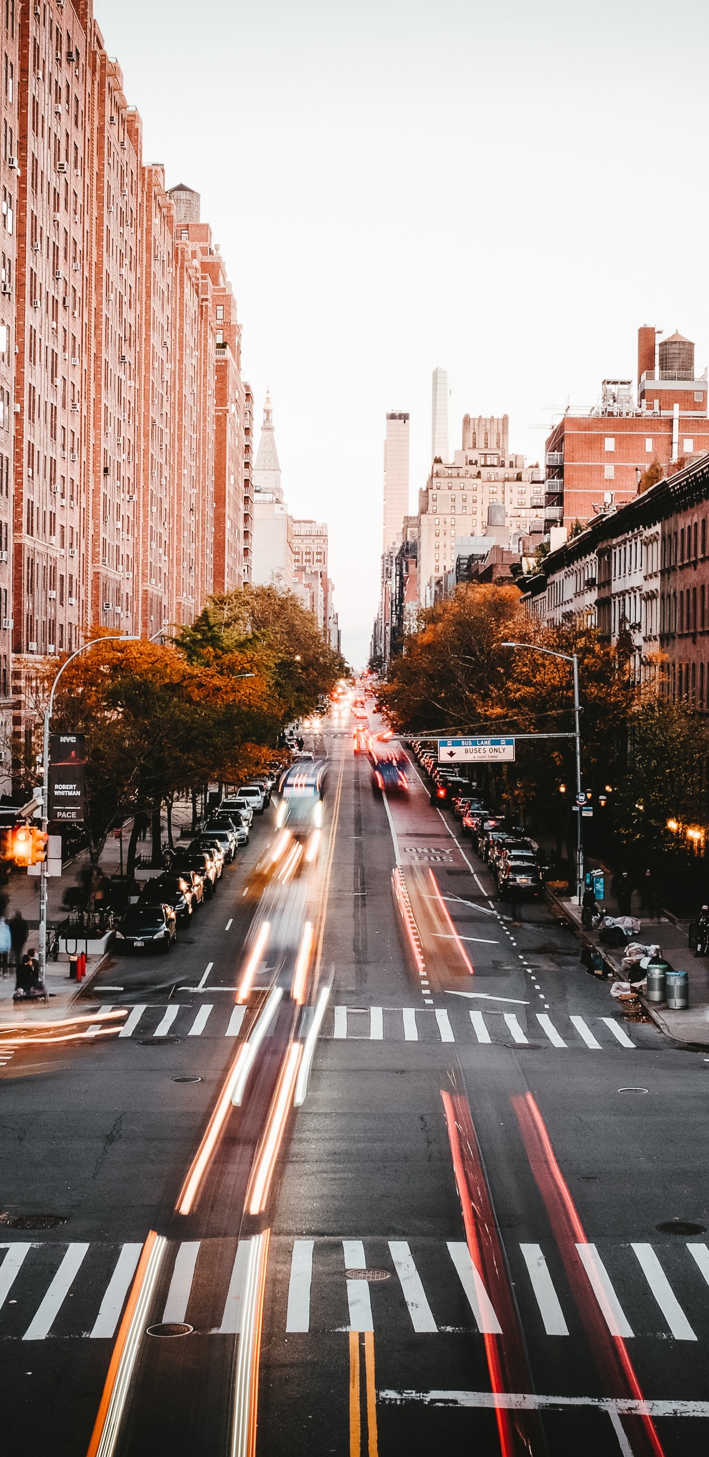 城市, 人类住区, 街, 里程碑, 大都会 壁纸 1440x2960 允许