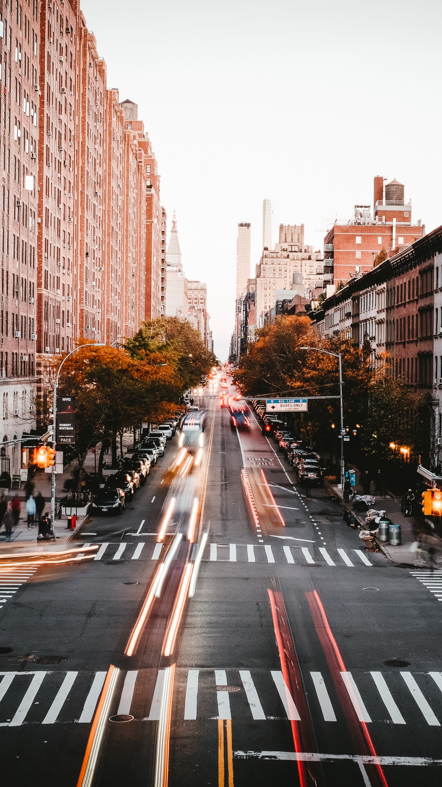 Cars on Road Between High Rise Buildings During Daytime. Wallpaper in 1440x2560 Resolution