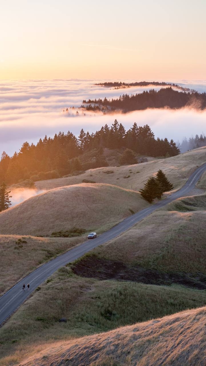Cloud, Water Resources, Ecoregion, Plant, Natural Landscape. Wallpaper in 720x1280 Resolution