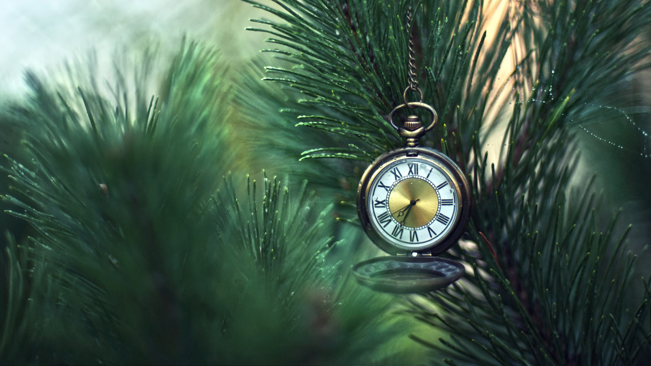 Gold and Black Pocket Watch on Green Pine Tree. Wallpaper in 1280x720 Resolution