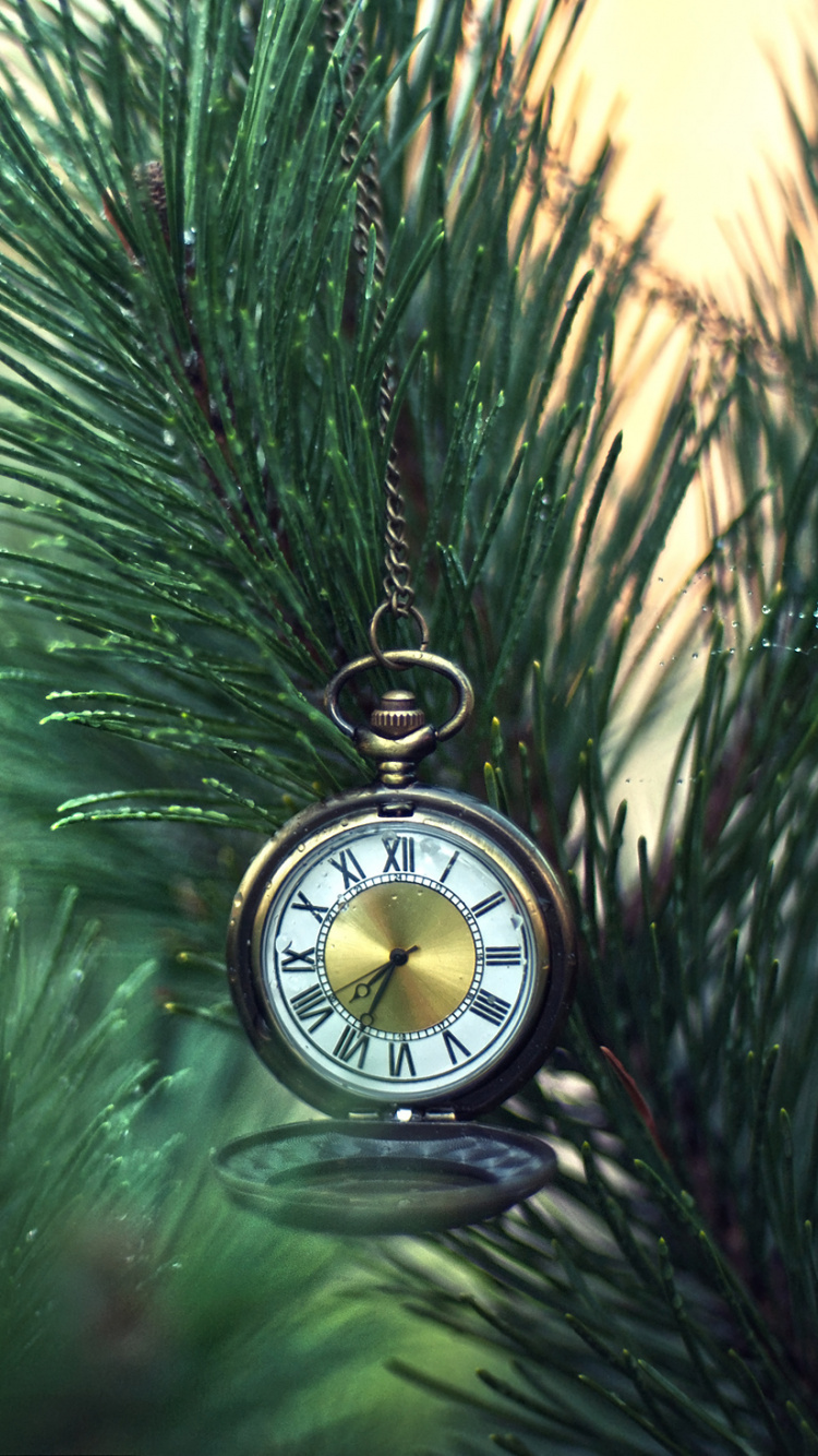 Gold and Black Pocket Watch on Green Pine Tree. Wallpaper in 750x1334 Resolution