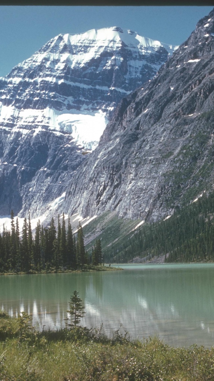 Green Pine Trees Near Lake and Snow Covered Mountain During Daytime. Wallpaper in 720x1280 Resolution