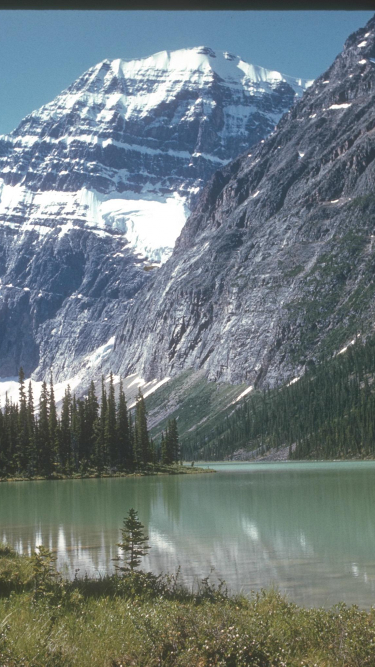 Green Pine Trees Near Lake and Snow Covered Mountain During Daytime. Wallpaper in 750x1334 Resolution