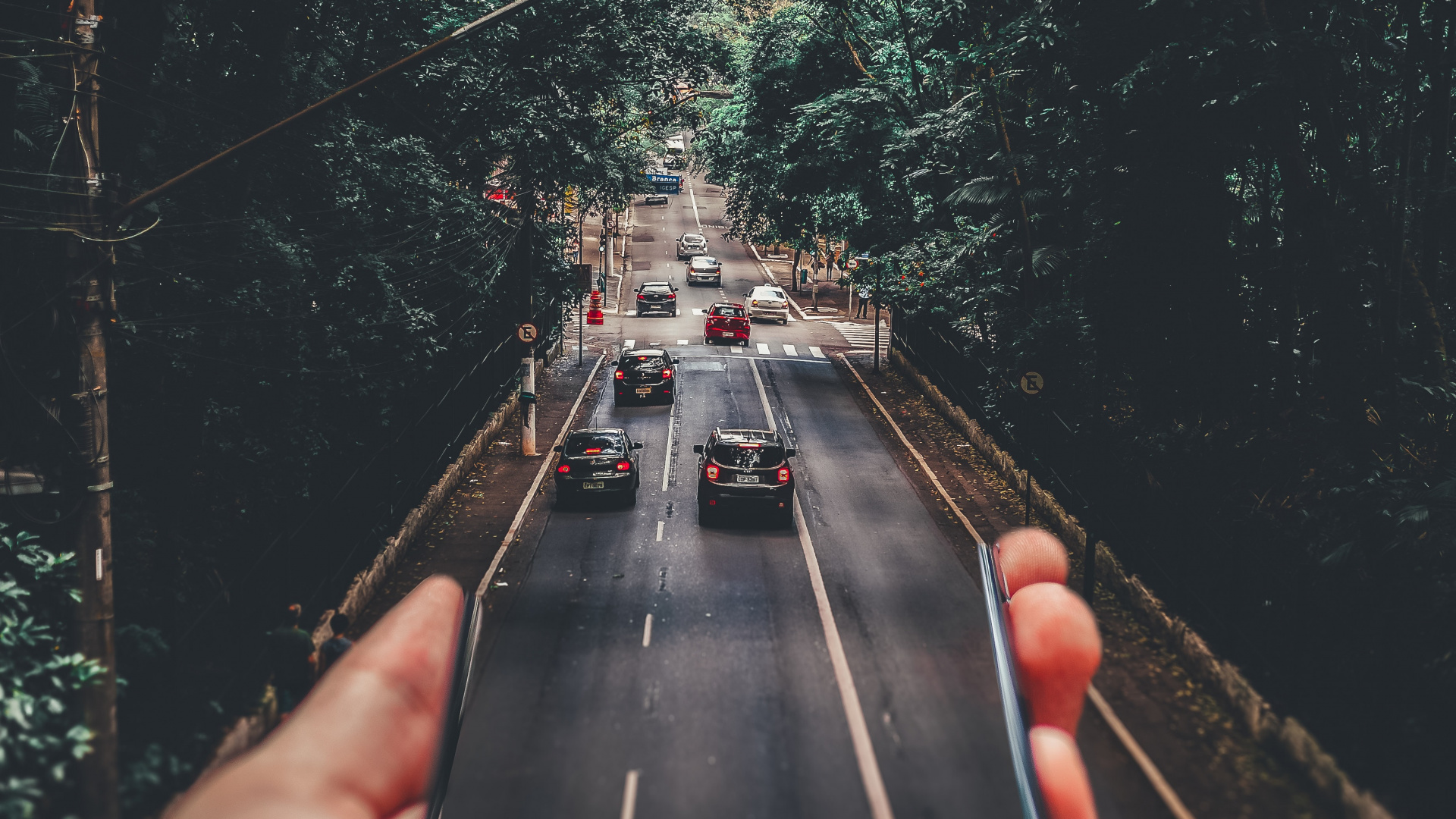 Forced Perspective, Cars, Plant, Automotive Lighting, Green. Wallpaper in 1920x1080 Resolution