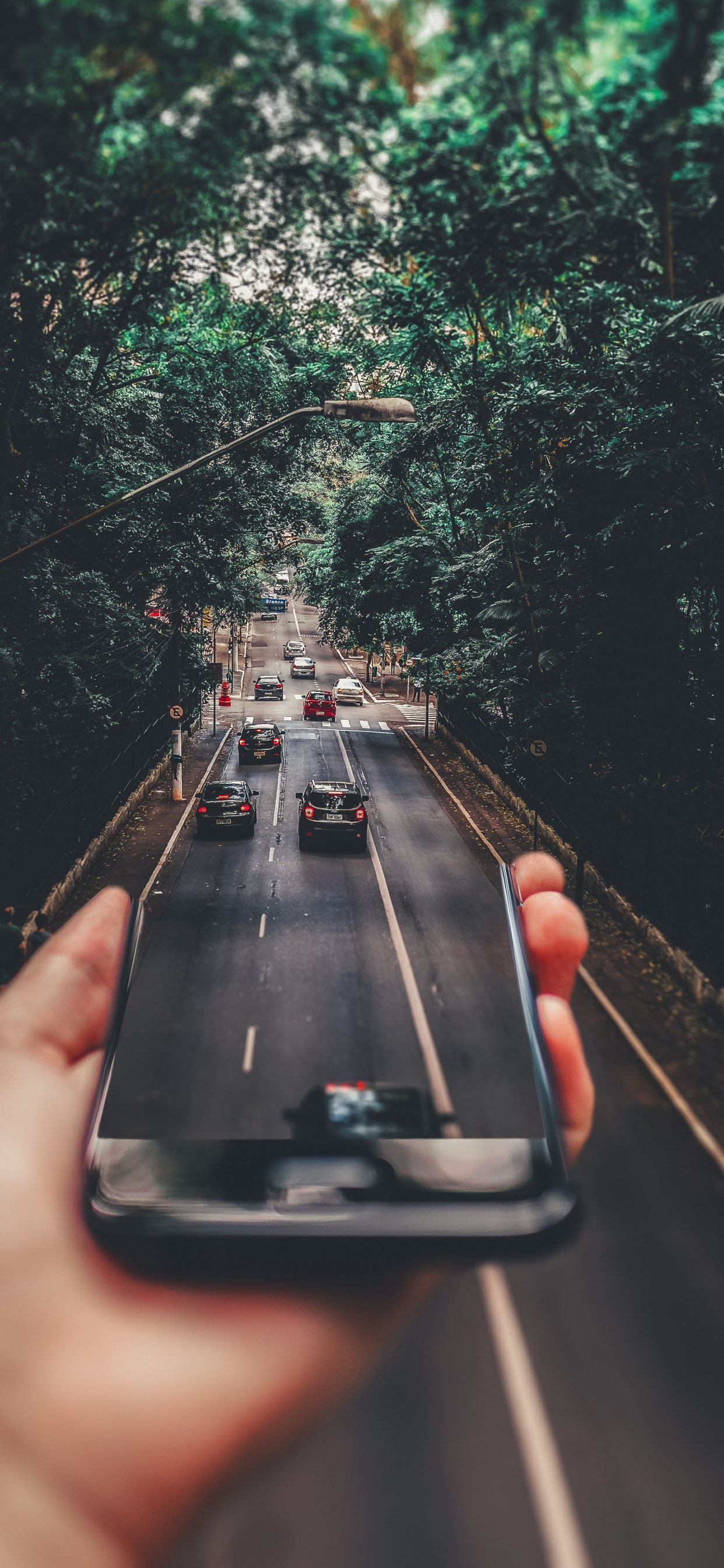 Perspectiva Forzada, Coche, Iluminación Automotriz, Verde, la Superficie de la Carretera. Wallpaper in 1242x2688 Resolution