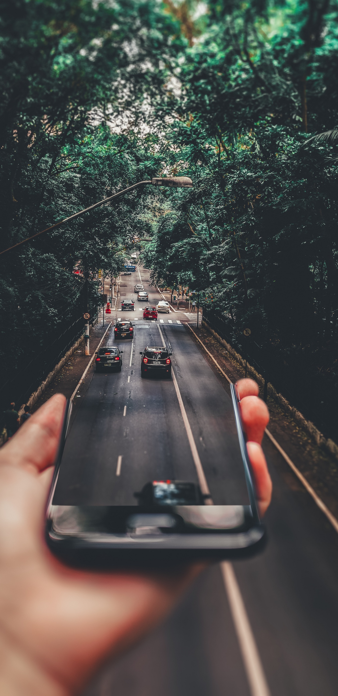 Perspectiva Forzada, Coche, Iluminación Automotriz, Verde, la Superficie de la Carretera. Wallpaper in 1440x2960 Resolution