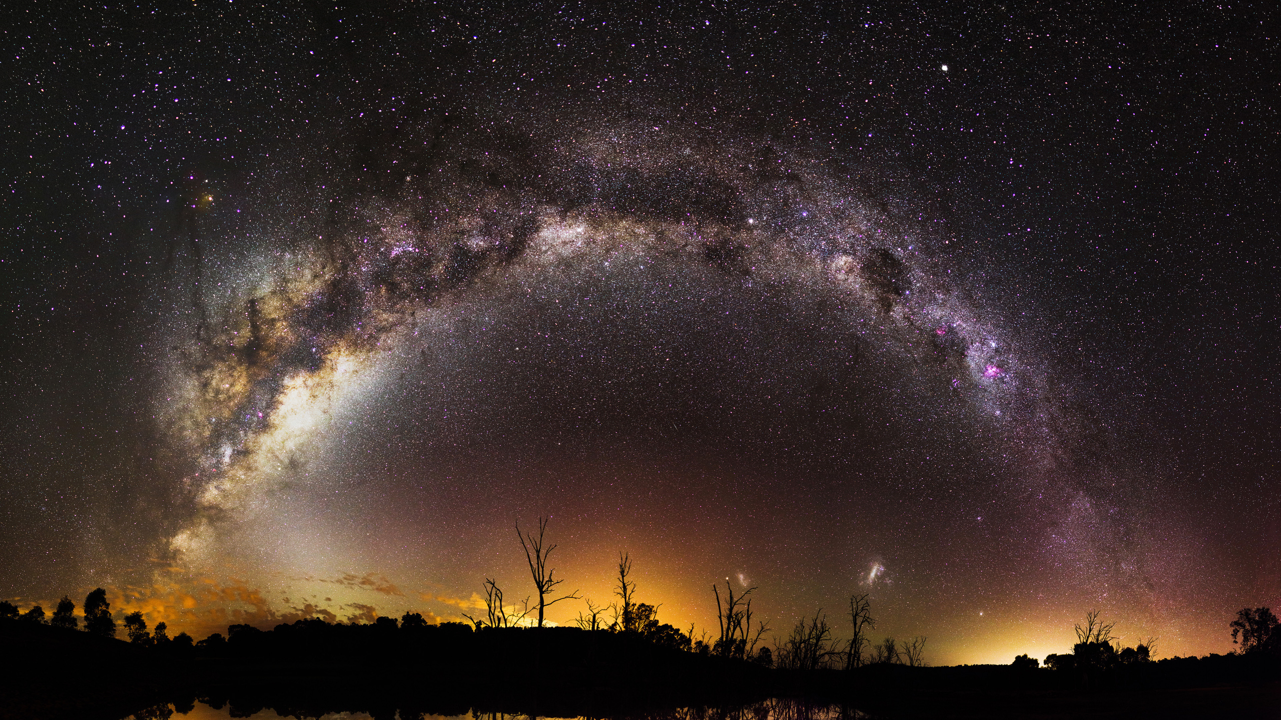 Silueta de Árboles Bajo la Noche Estrellada. Wallpaper in 2560x1440 Resolution