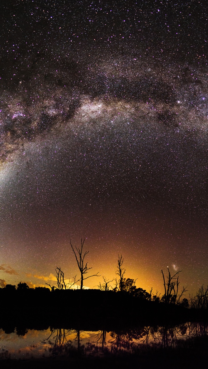Silueta de Árboles Bajo la Noche Estrellada. Wallpaper in 720x1280 Resolution