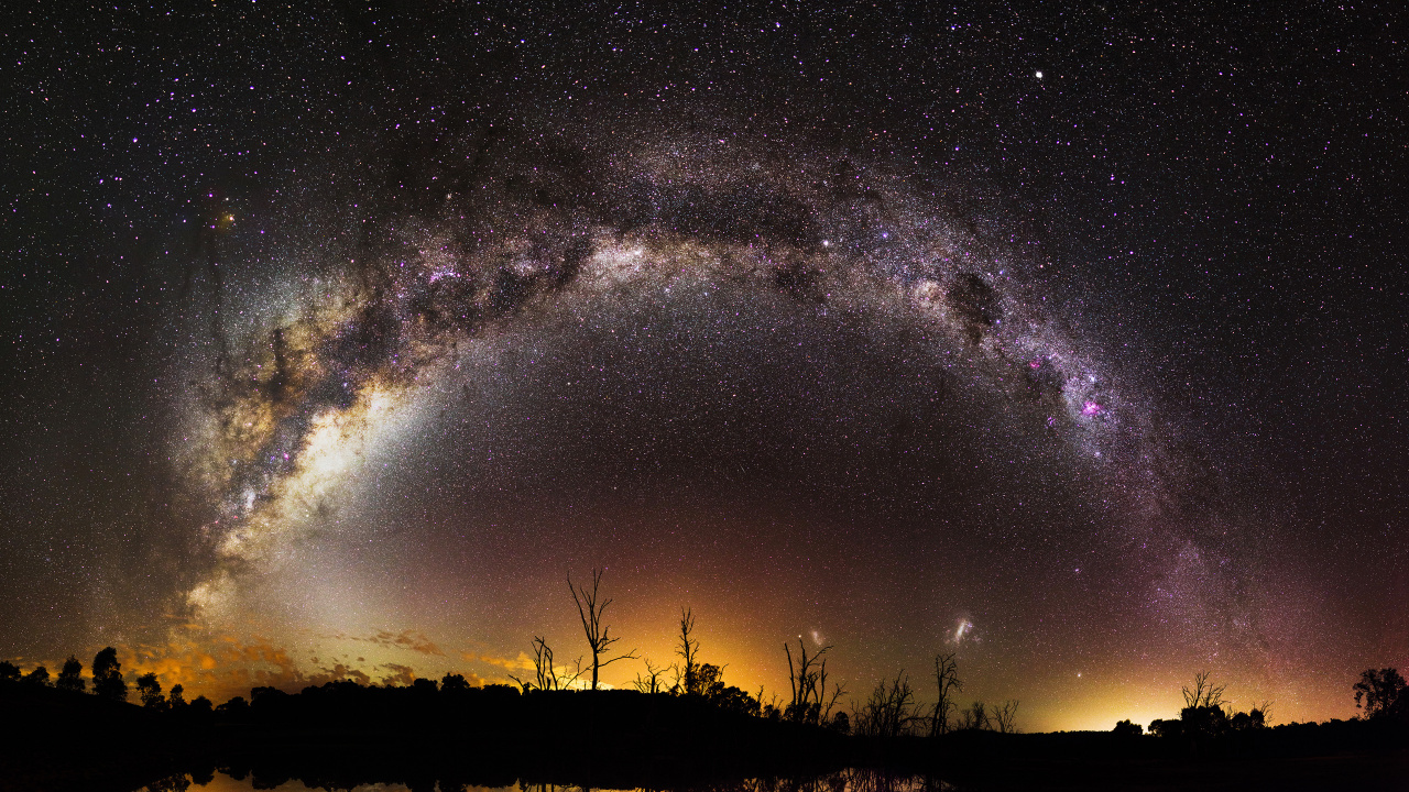 Silhouette of Trees Under Starry Night. Wallpaper in 1280x720 Resolution