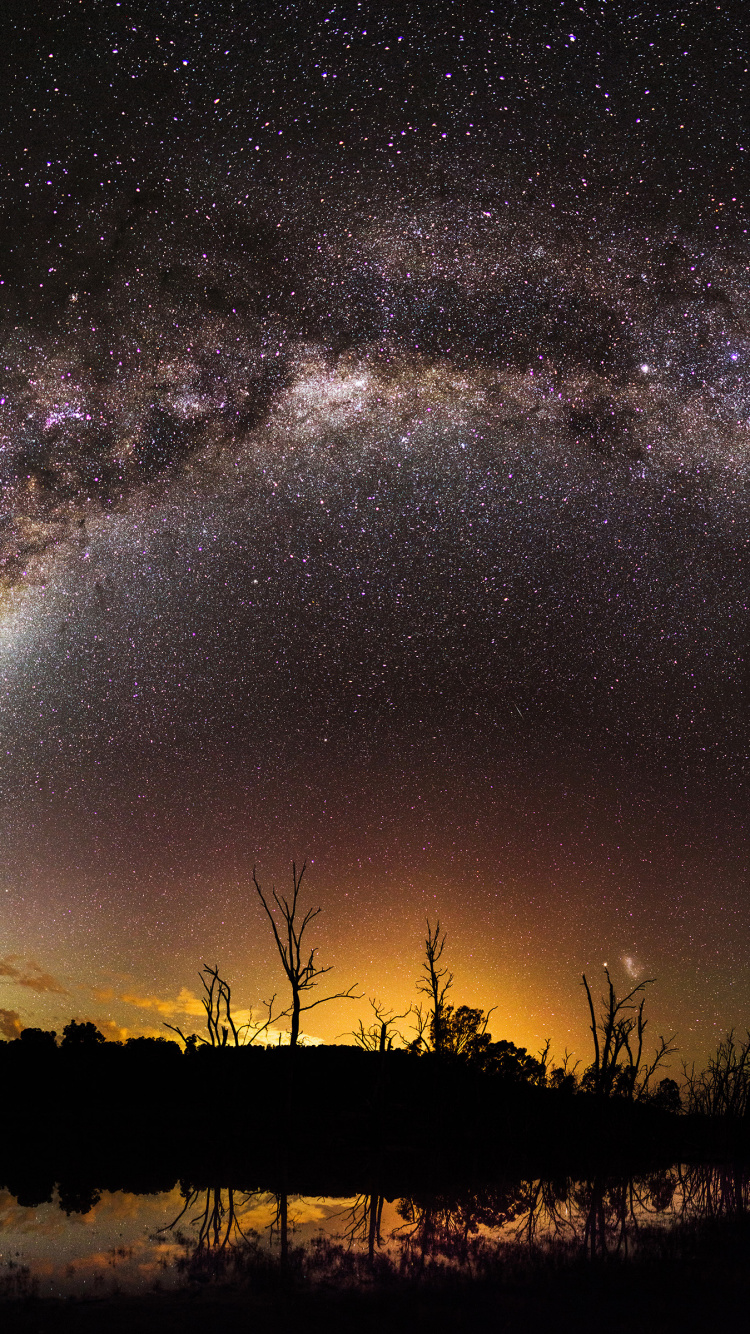 Silhouette D'arbres Sous la Nuit Étoilée. Wallpaper in 750x1334 Resolution