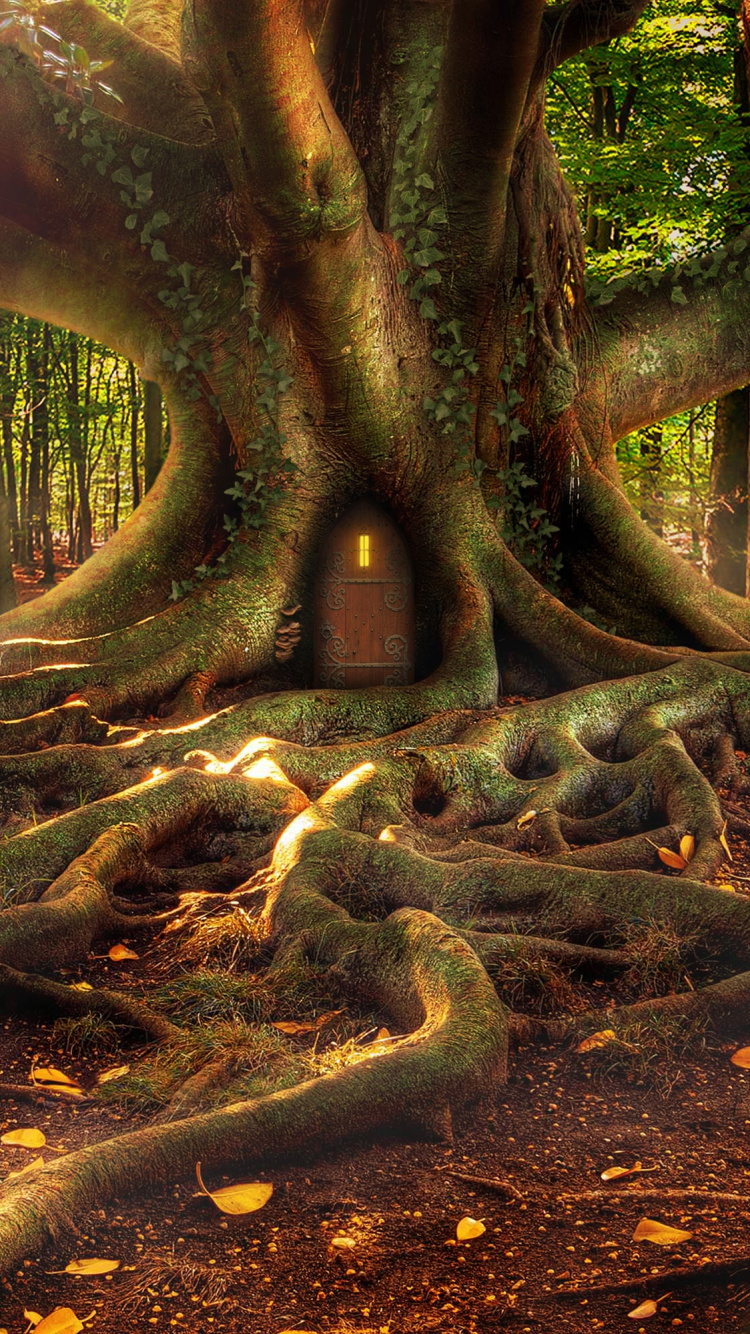 Brown Tree Trunk on Brown Soil. Wallpaper in 750x1334 Resolution