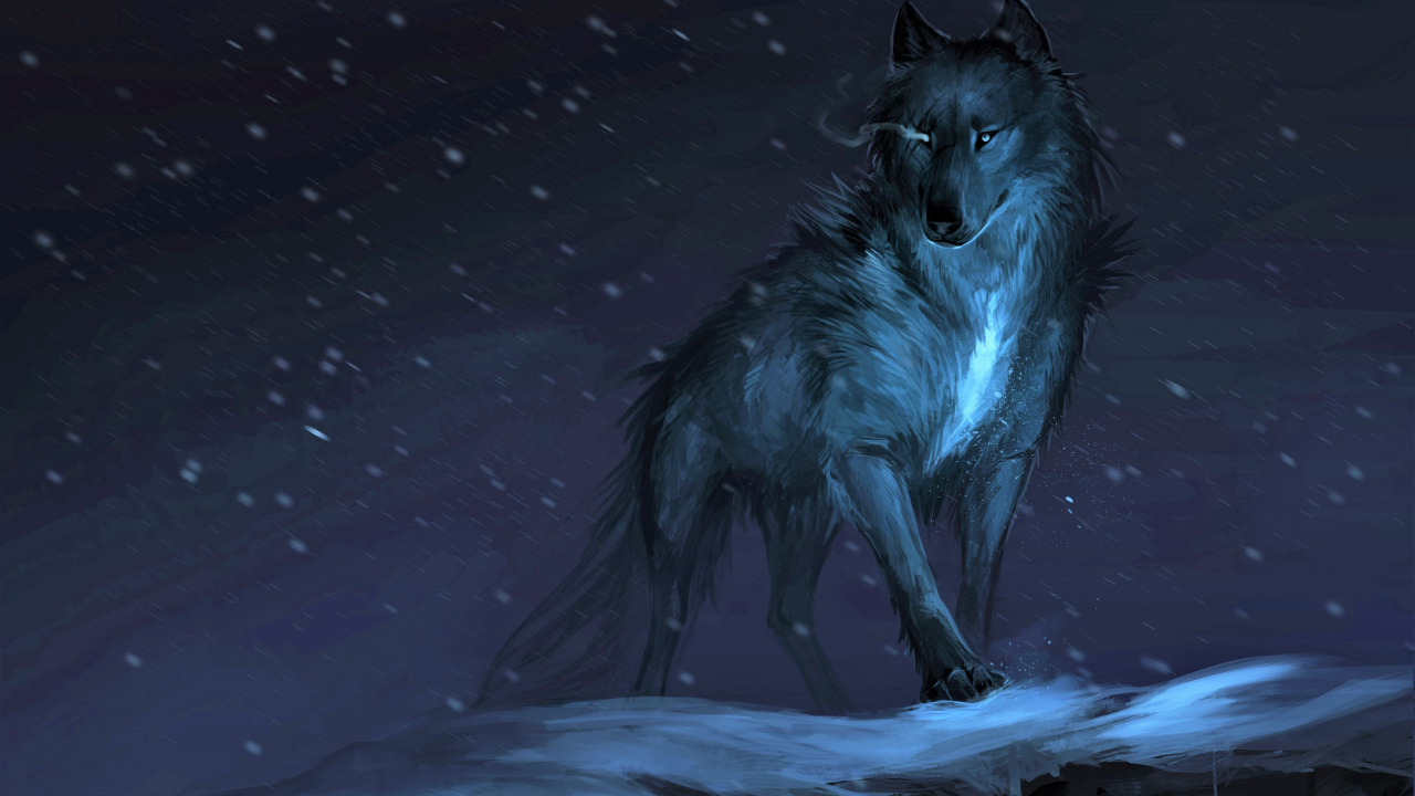 Lobo Majestuoso, Lobo, Arte, Dibujo, Lobo Negro. Wallpaper in 1280x720 Resolution