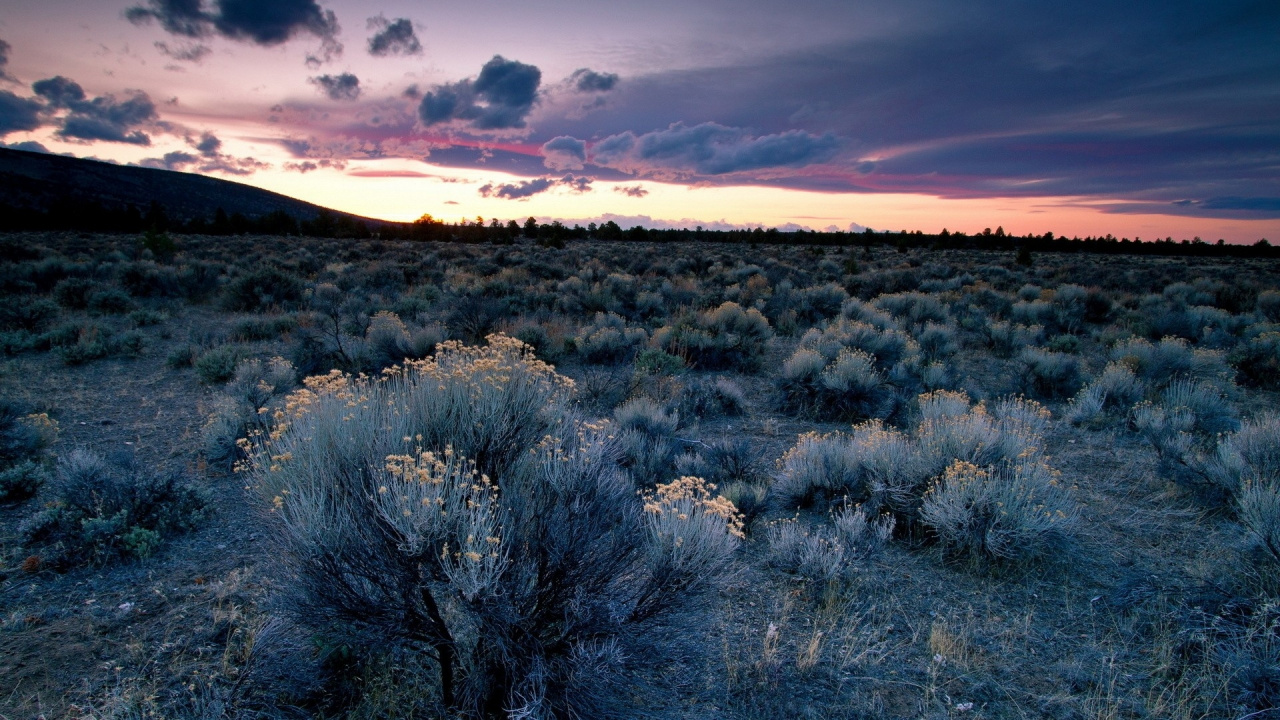 Brown Grass Field Under Cloudy Sky During Daytime. Wallpaper in 1280x720 Resolution