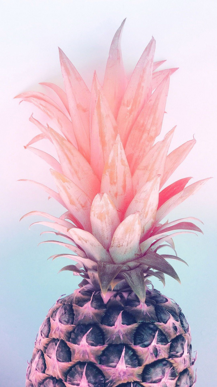 Pink Pineapples, Pineapple, Fruit, Gold Pineapple, Flower. Wallpaper in 750x1334 Resolution