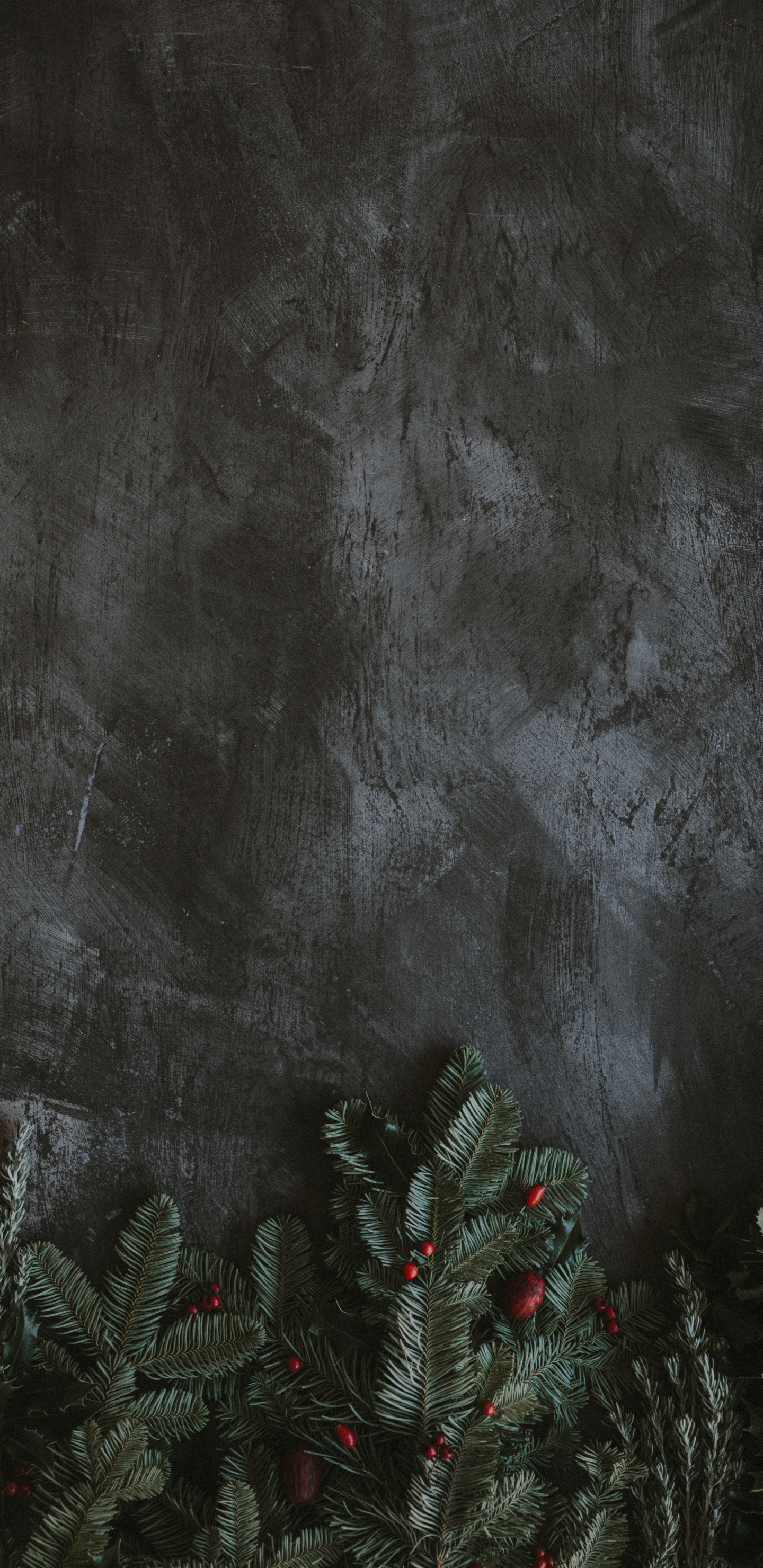 黑色的, 气氛, 空间, 视觉艺术, 艺术 壁纸 1440x2960 允许