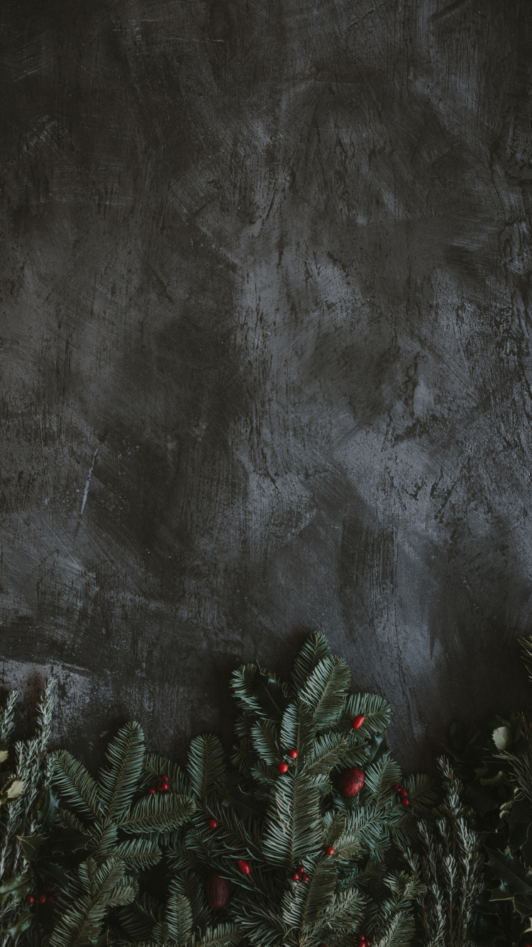 黑色的, 气氛, 空间, 视觉艺术, 艺术 壁纸 750x1334 允许