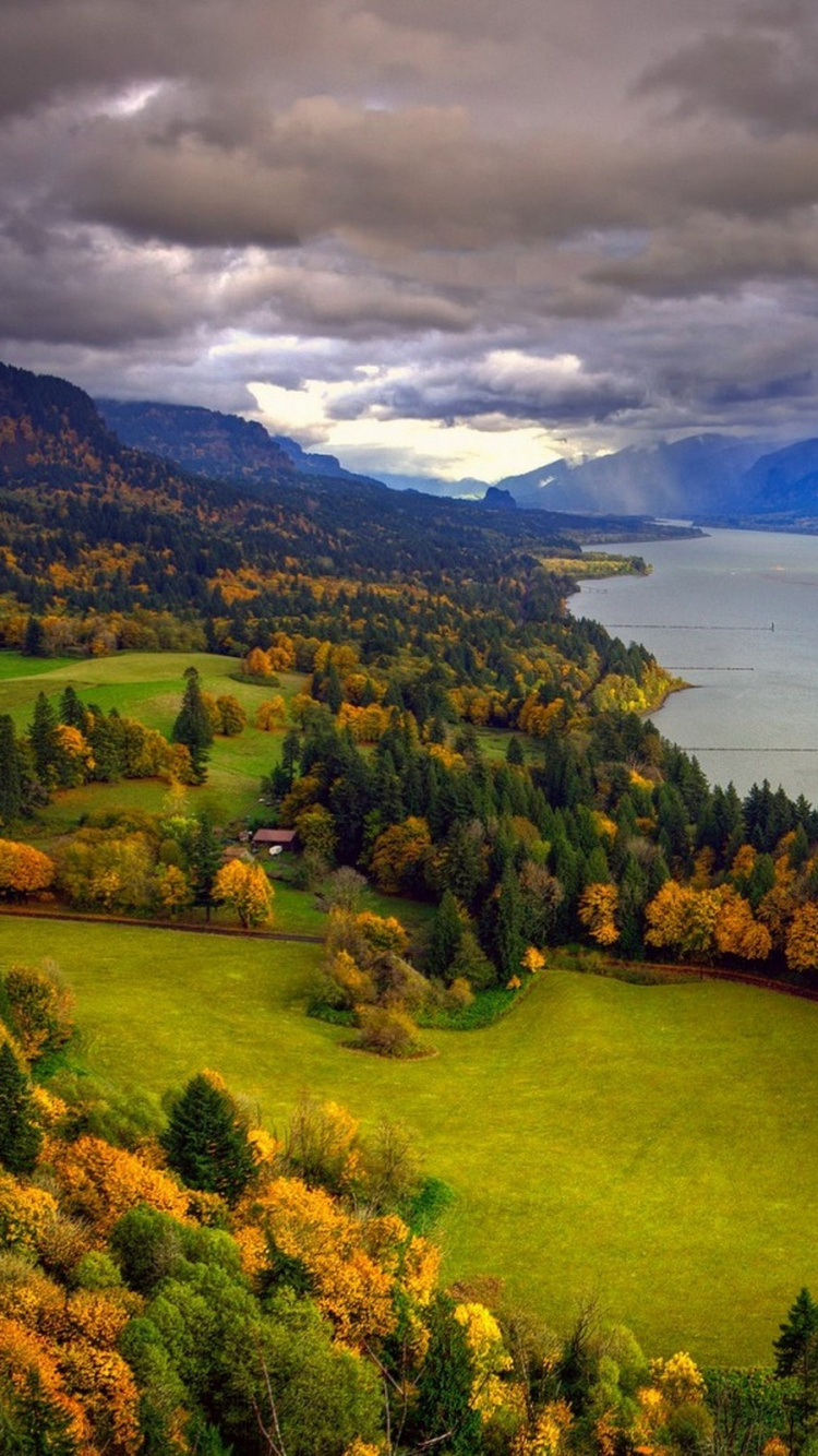 Green Trees Near Body of Water Under Cloudy Sky During Daytime. Wallpaper in 750x1334 Resolution