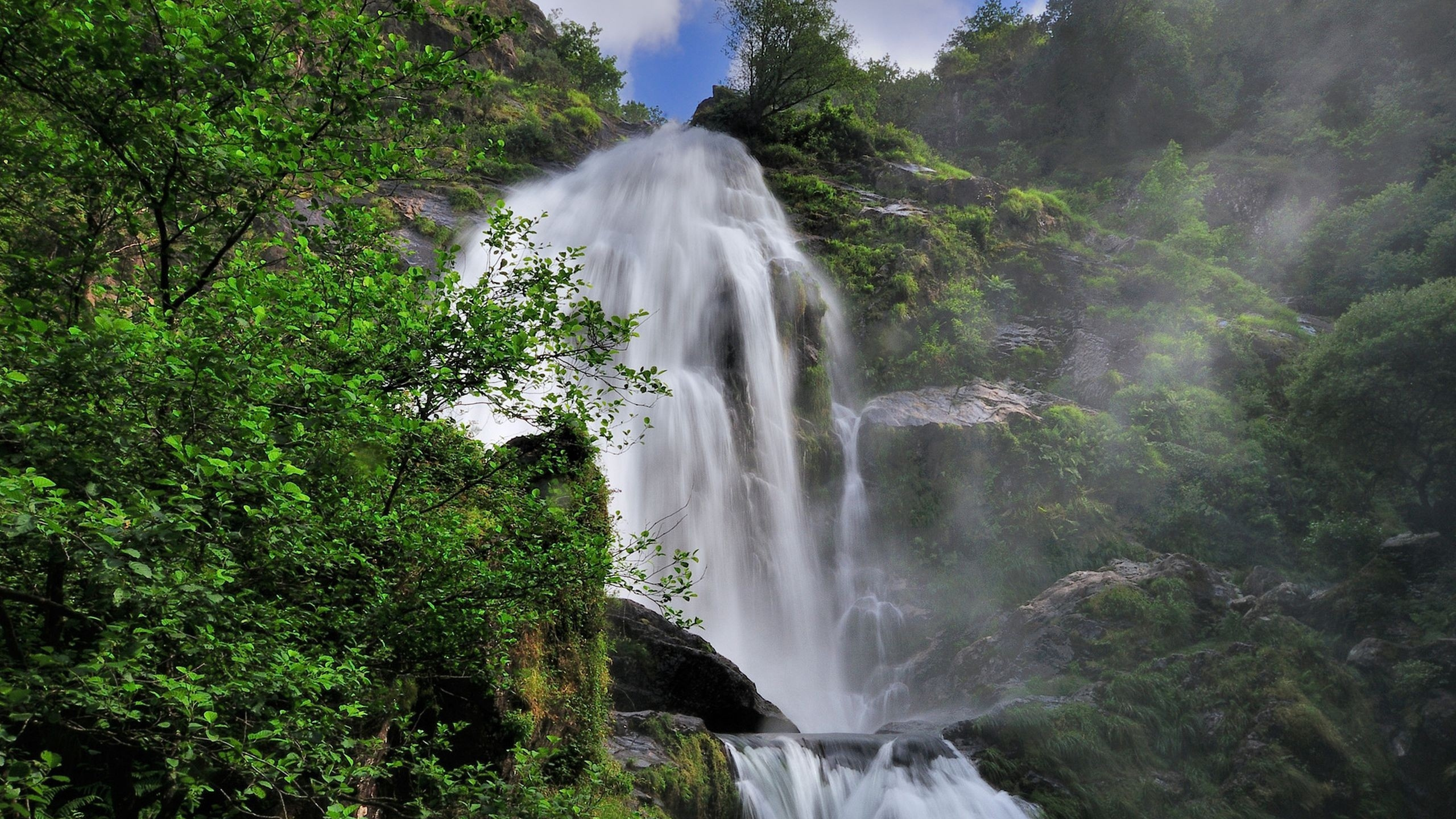 Cascadas en Medio de Árboles Verdes. Wallpaper in 2560x1440 Resolution