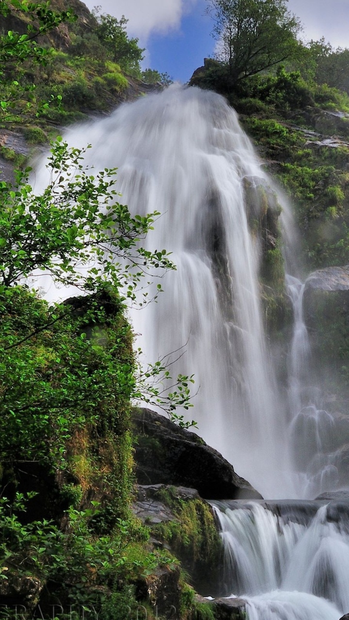 Cascades au Milieu Des Arbres Verts. Wallpaper in 720x1280 Resolution