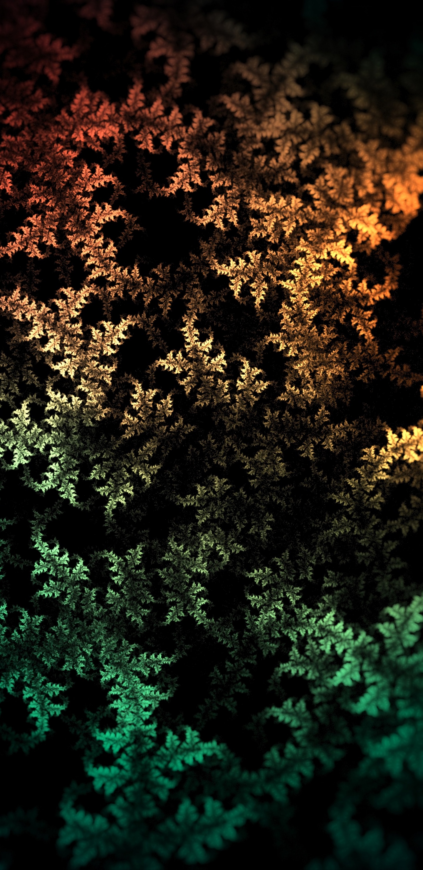 Plante à Feuilles Vertes et Brunes. Wallpaper in 1440x2960 Resolution