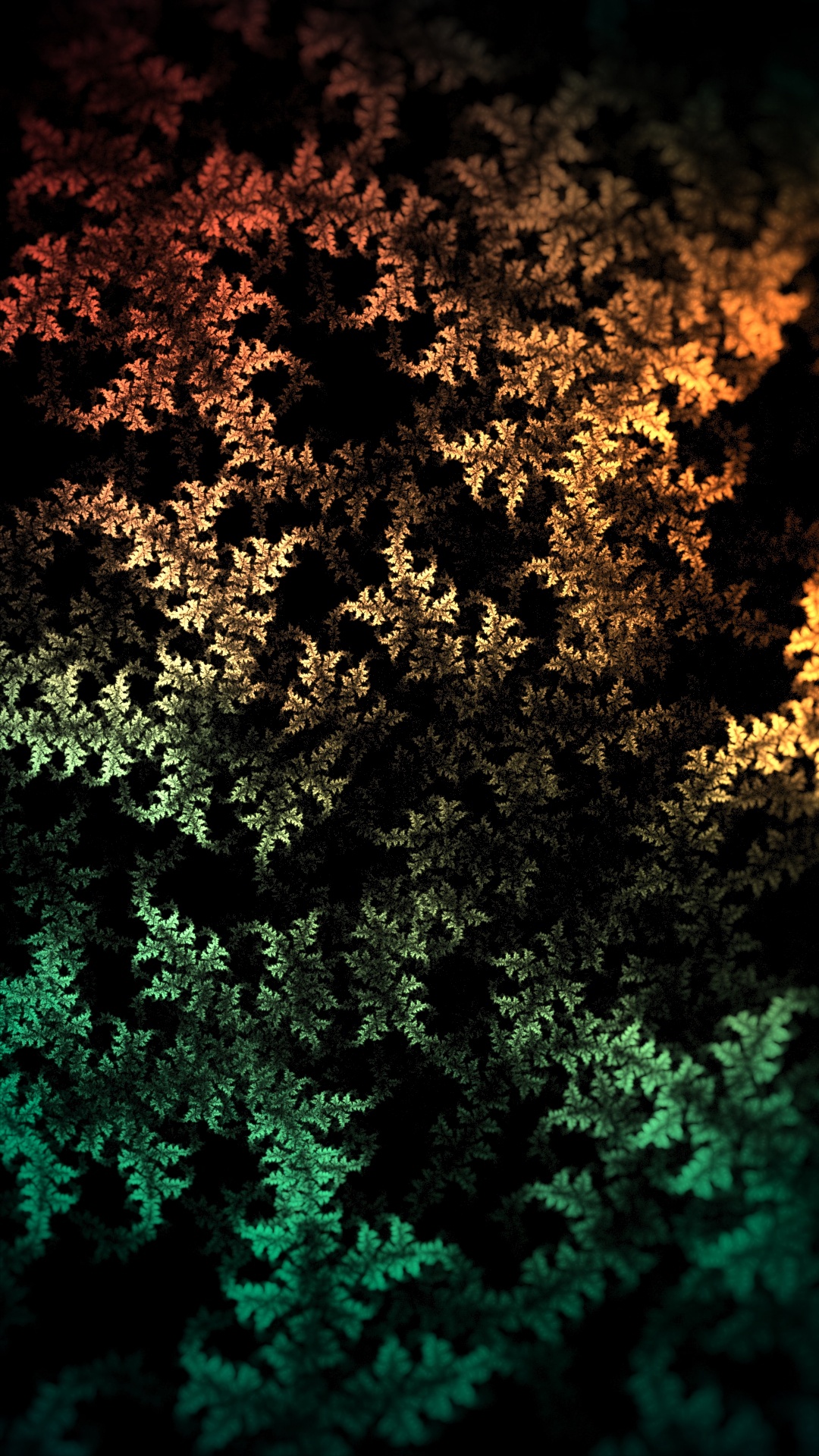 Grüne Und Braune Blattpflanze. Wallpaper in 1080x1920 Resolution