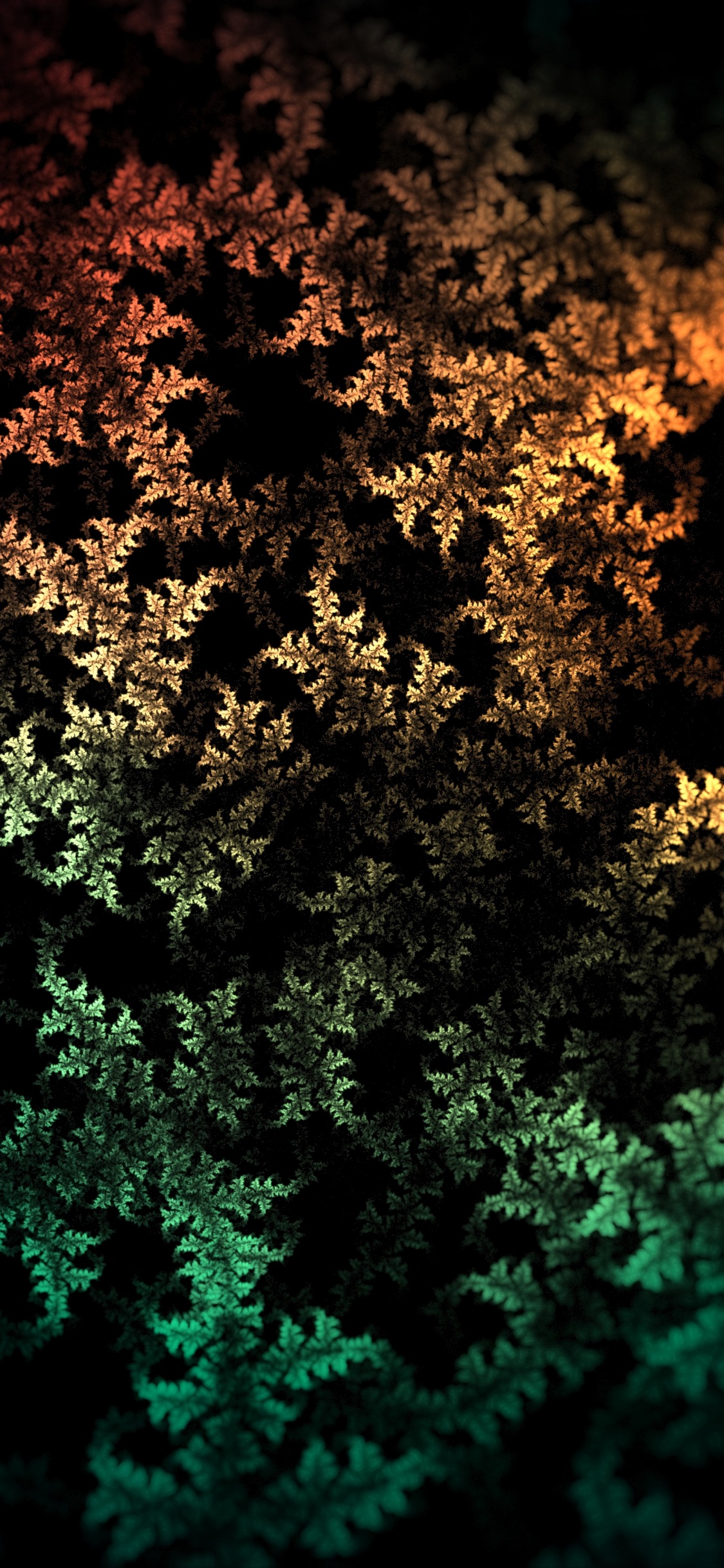 Grüne Und Braune Blattpflanze. Wallpaper in 1125x2436 Resolution