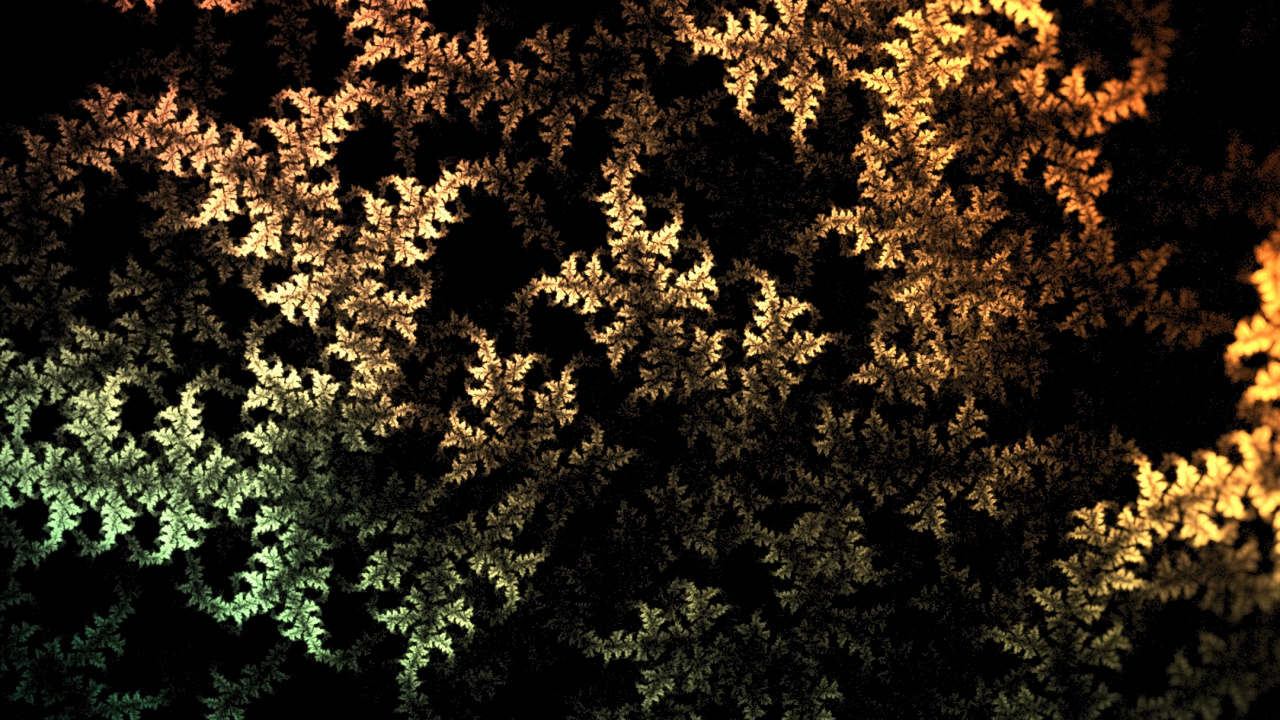 Grüne Und Braune Blattpflanze. Wallpaper in 1280x720 Resolution