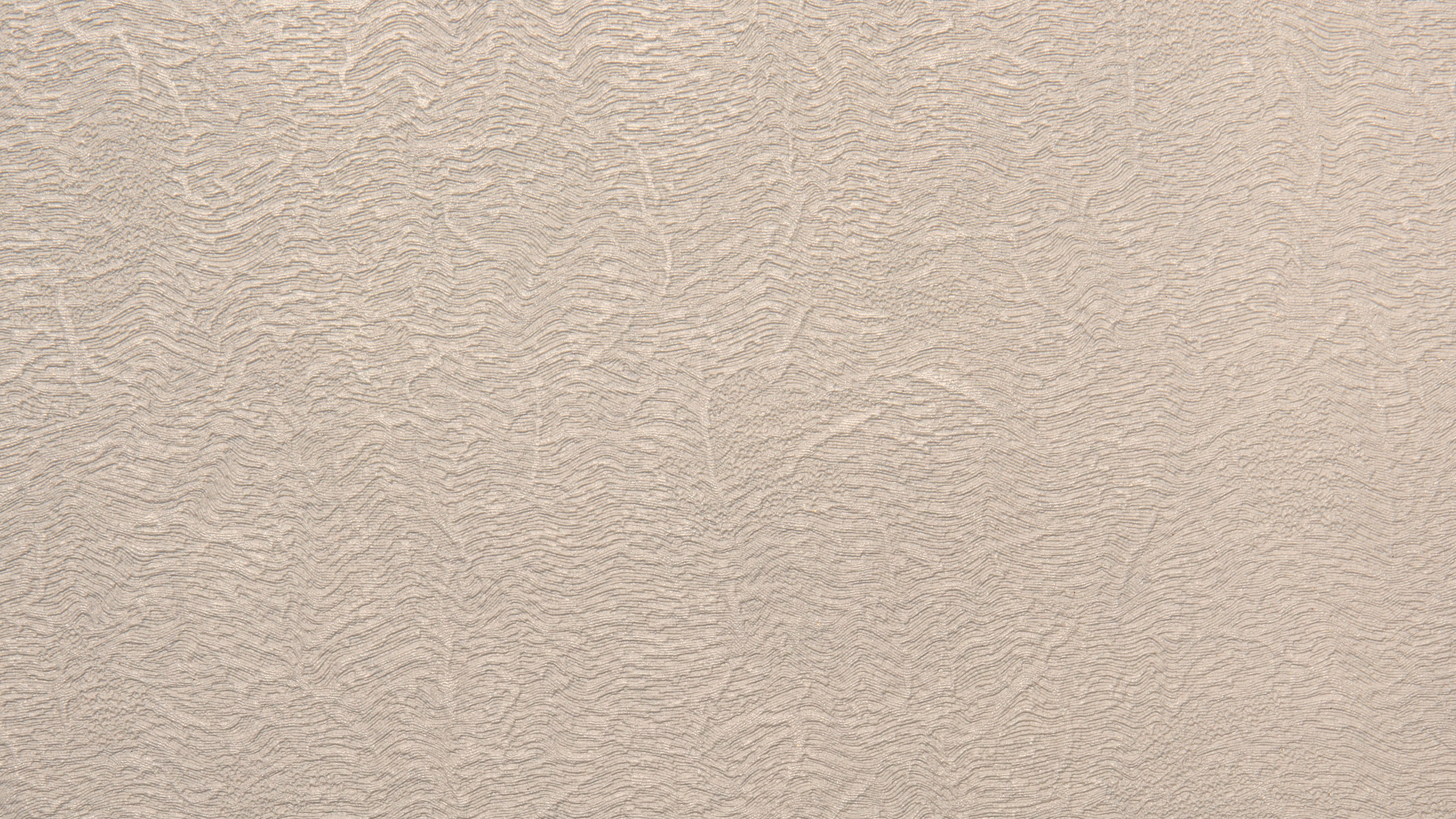 White Wall Paint With White Paint. Wallpaper in 2560x1440 Resolution