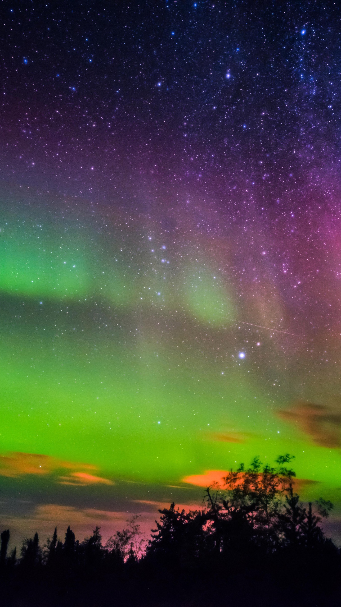 Mejores Auroras Boreales, Aurora, Yellowknife, Naturaleza, Verde. Wallpaper in 1440x2560 Resolution