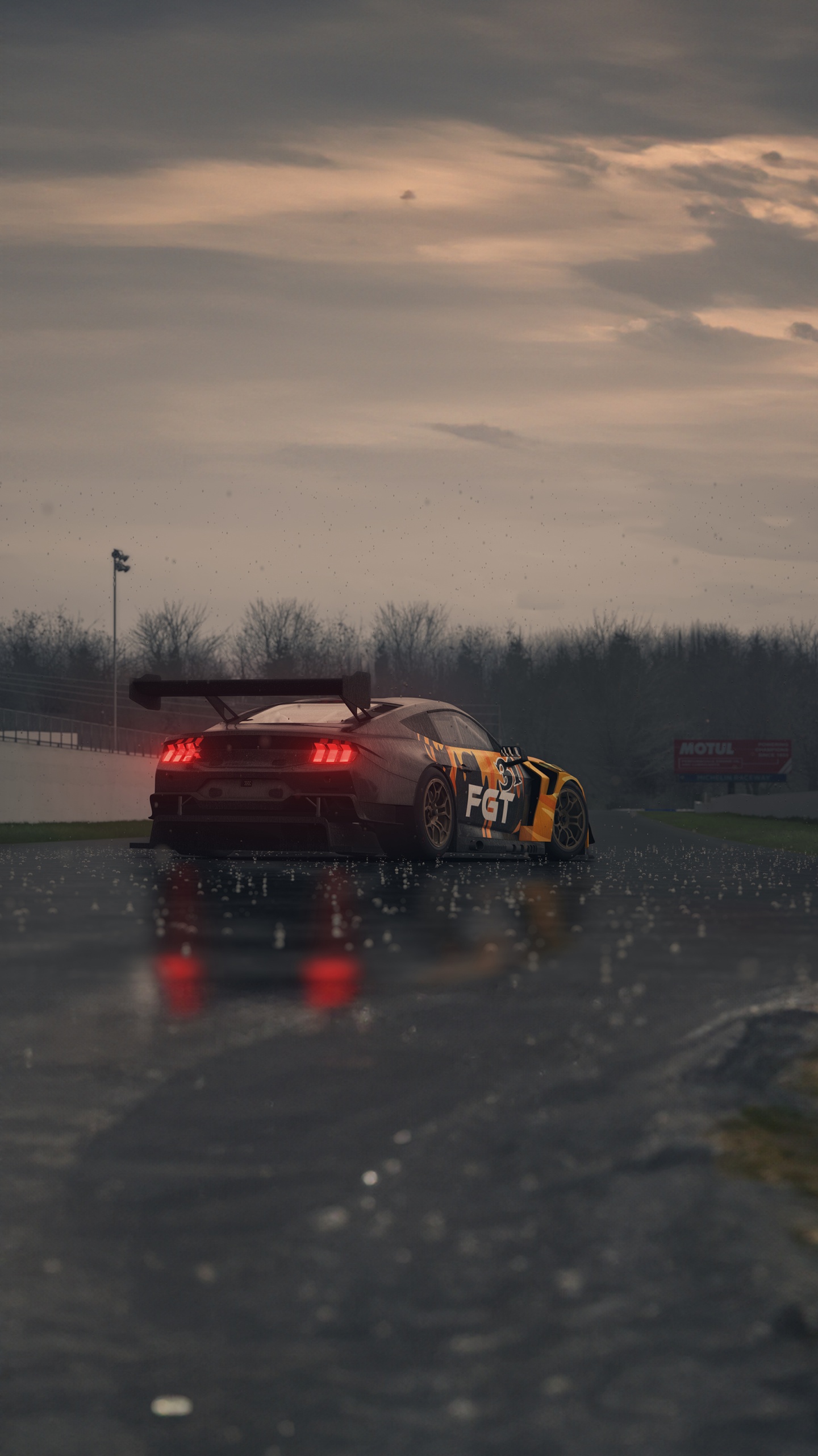 World Rally Car, Auto Racing, World Rally Championship, Sports Car, Cars. Wallpaper in 1440x2560 Resolution