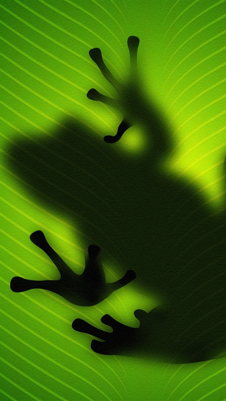 树蛙, 绿色的, 两栖类动物, 青蛙 壁纸 720x1280 允许