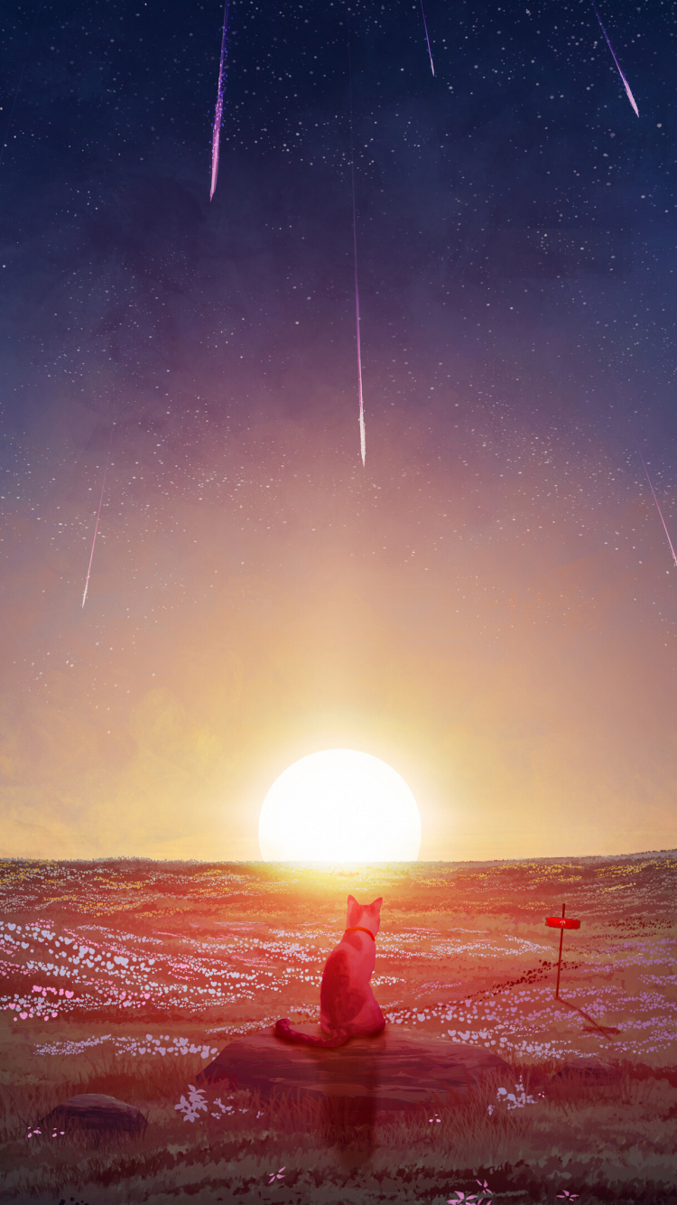 Astronomisches Objekt, Atmosphäre, Sonne, Horizont, Raum. Wallpaper in 750x1334 Resolution