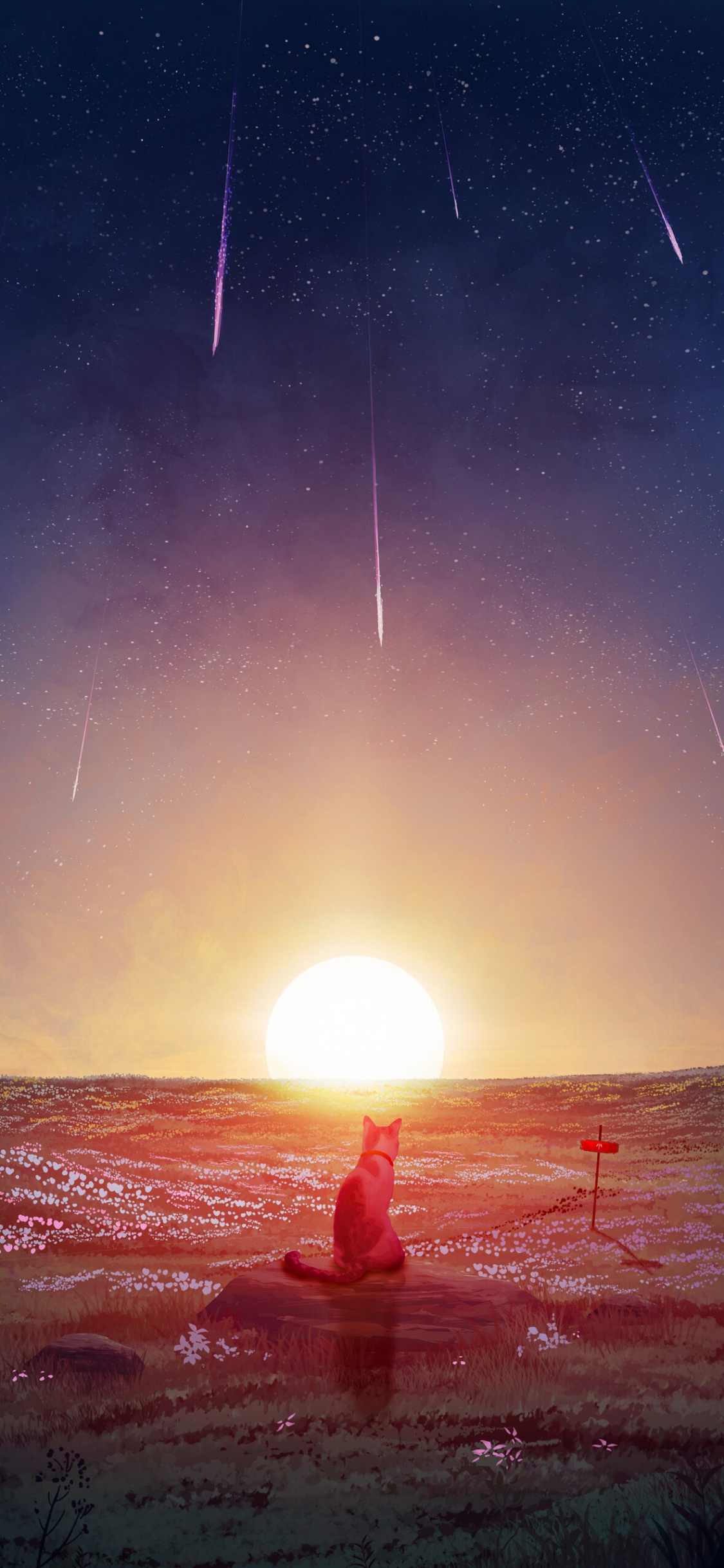 Objeto Astronómico, Ambiente, Sol, Espacio, Estrella. Wallpaper in 1125x2436 Resolution