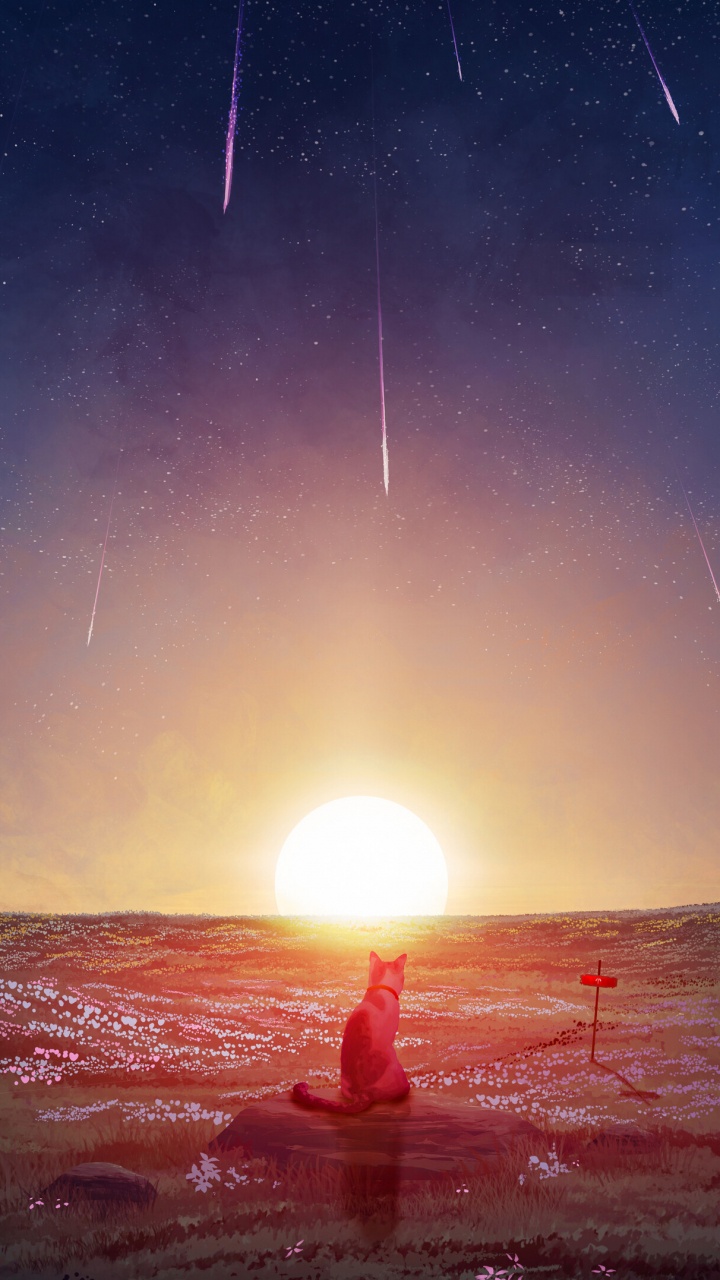 Objeto Astronómico, Ambiente, Sol, Espacio, Estrella. Wallpaper in 720x1280 Resolution