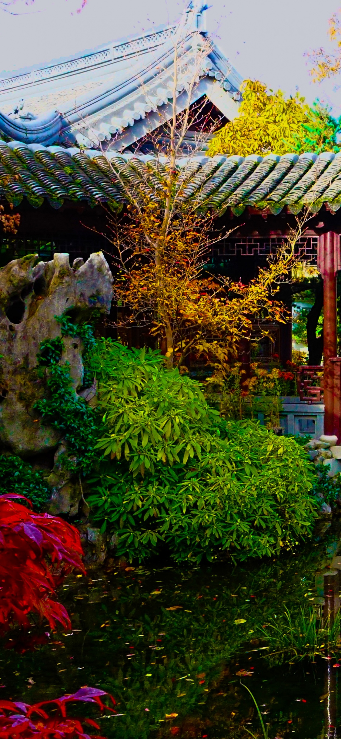 波特兰的日本花园, 花园, 中国花园, 灌木, 性质 壁纸 1125x2436 允许