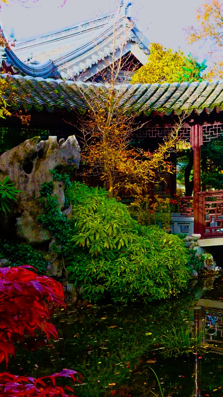 波特兰的日本花园, 花园, 中国花园, 灌木, 性质 壁纸 720x1280 允许