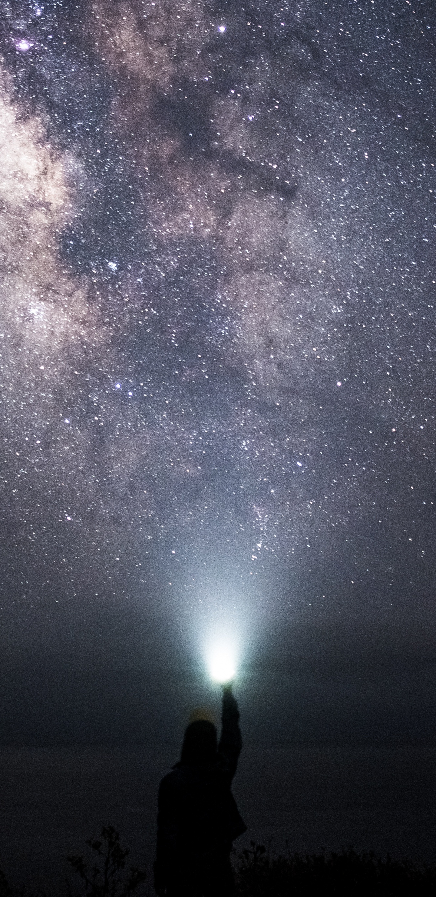 Silueta de Hombre y Mujer de Pie Bajo la Noche Estrellada. Wallpaper in 1440x2960 Resolution