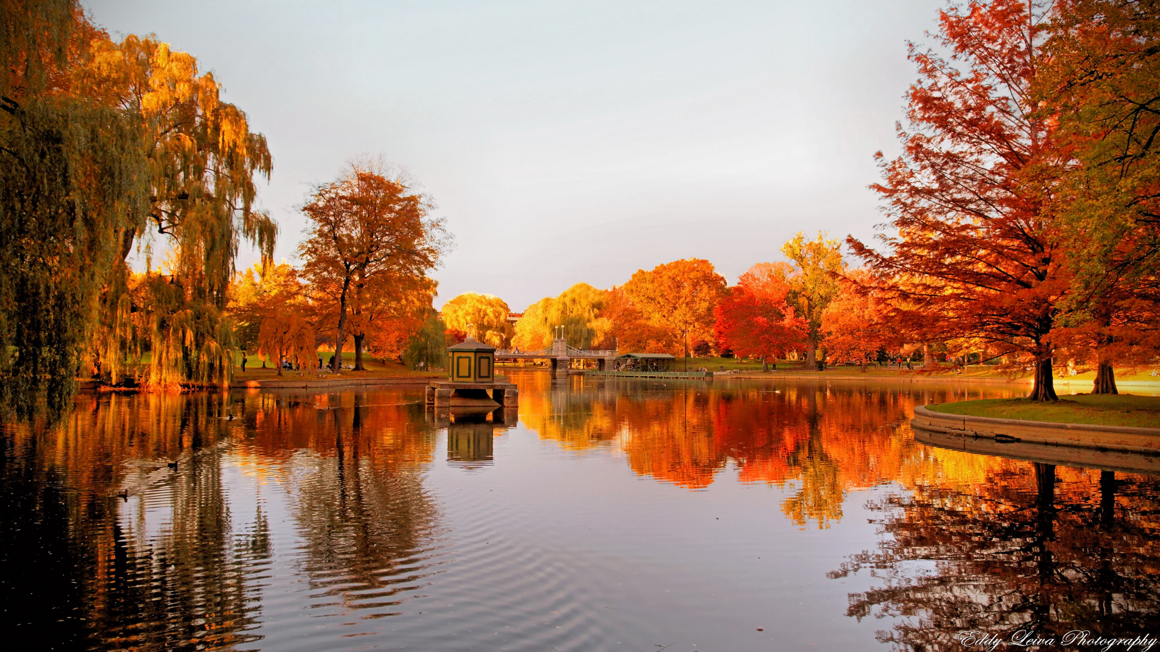 Brown Trees Beside Body of Water During Daytime. Wallpaper in 3840x2160 Resolution