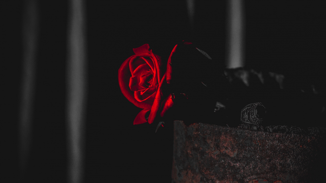 Red and Black Floral Textile. Wallpaper in 1280x720 Resolution