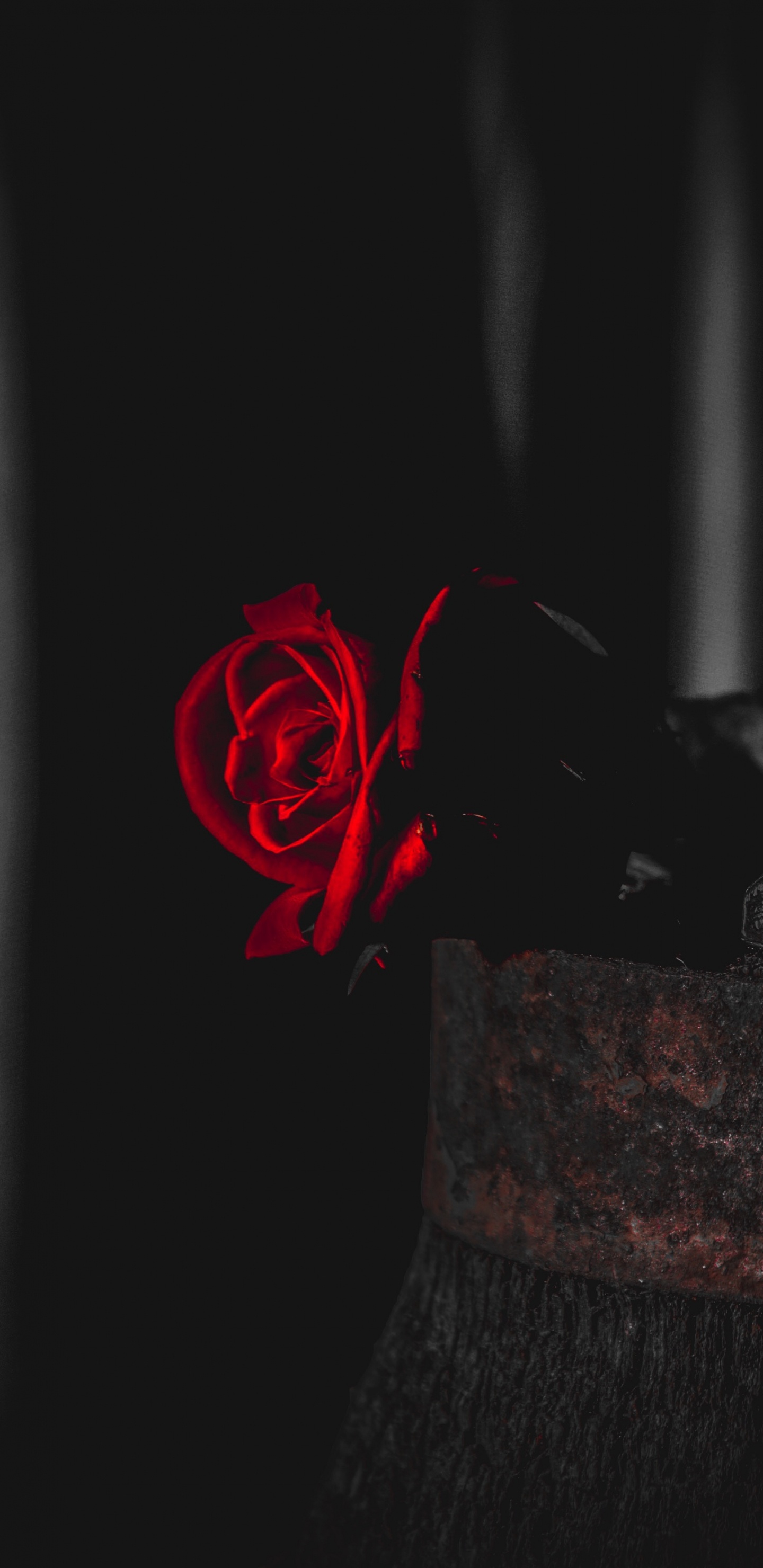 Textil Floral Rojo y Negro. Wallpaper in 1440x2960 Resolution