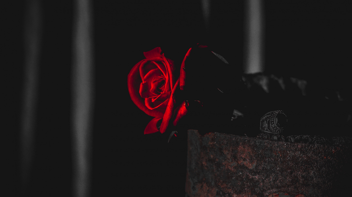 Textile Floral Rouge et Noir. Wallpaper in 1366x768 Resolution