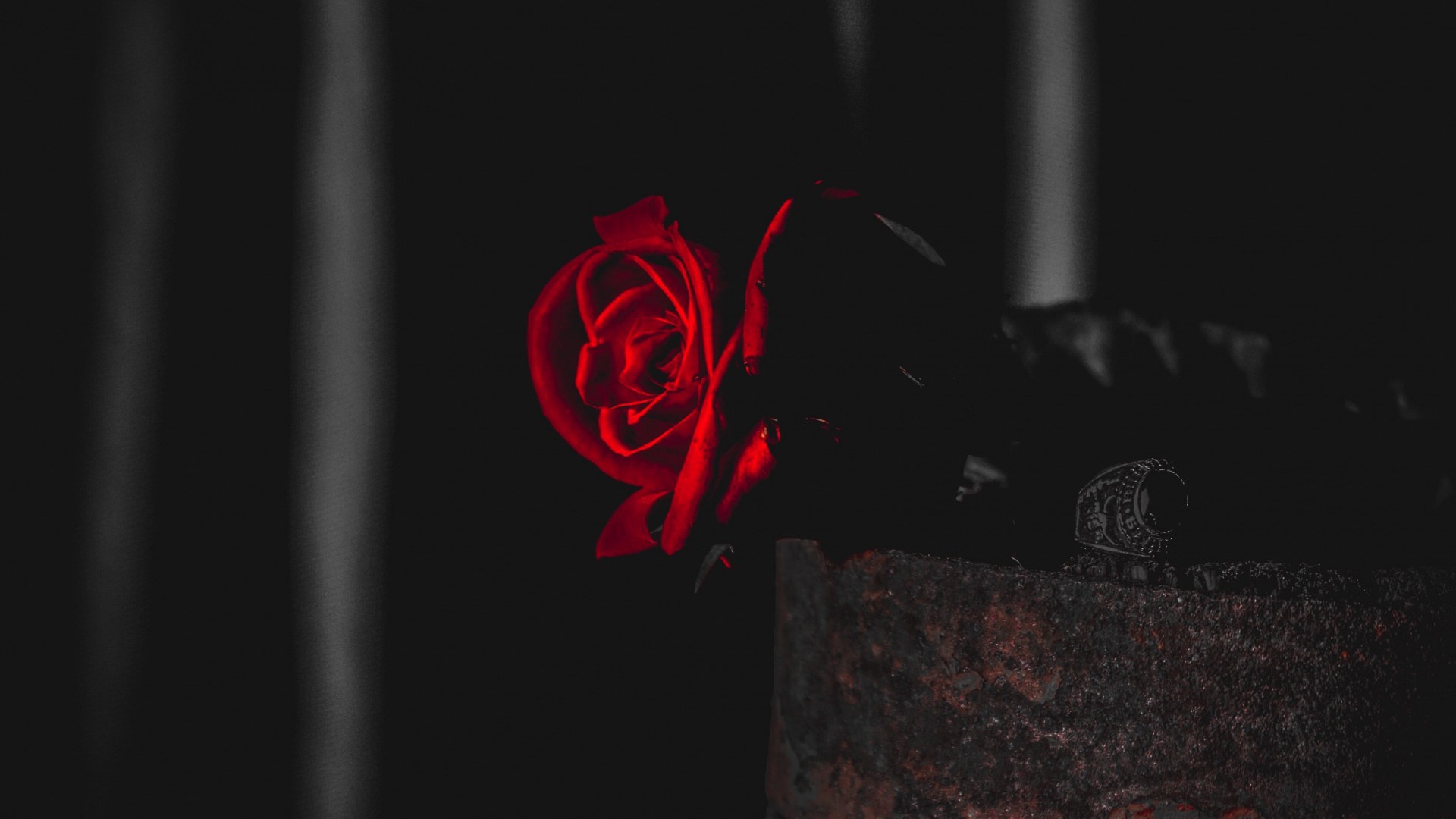 Textile Floral Rouge et Noir. Wallpaper in 1920x1080 Resolution