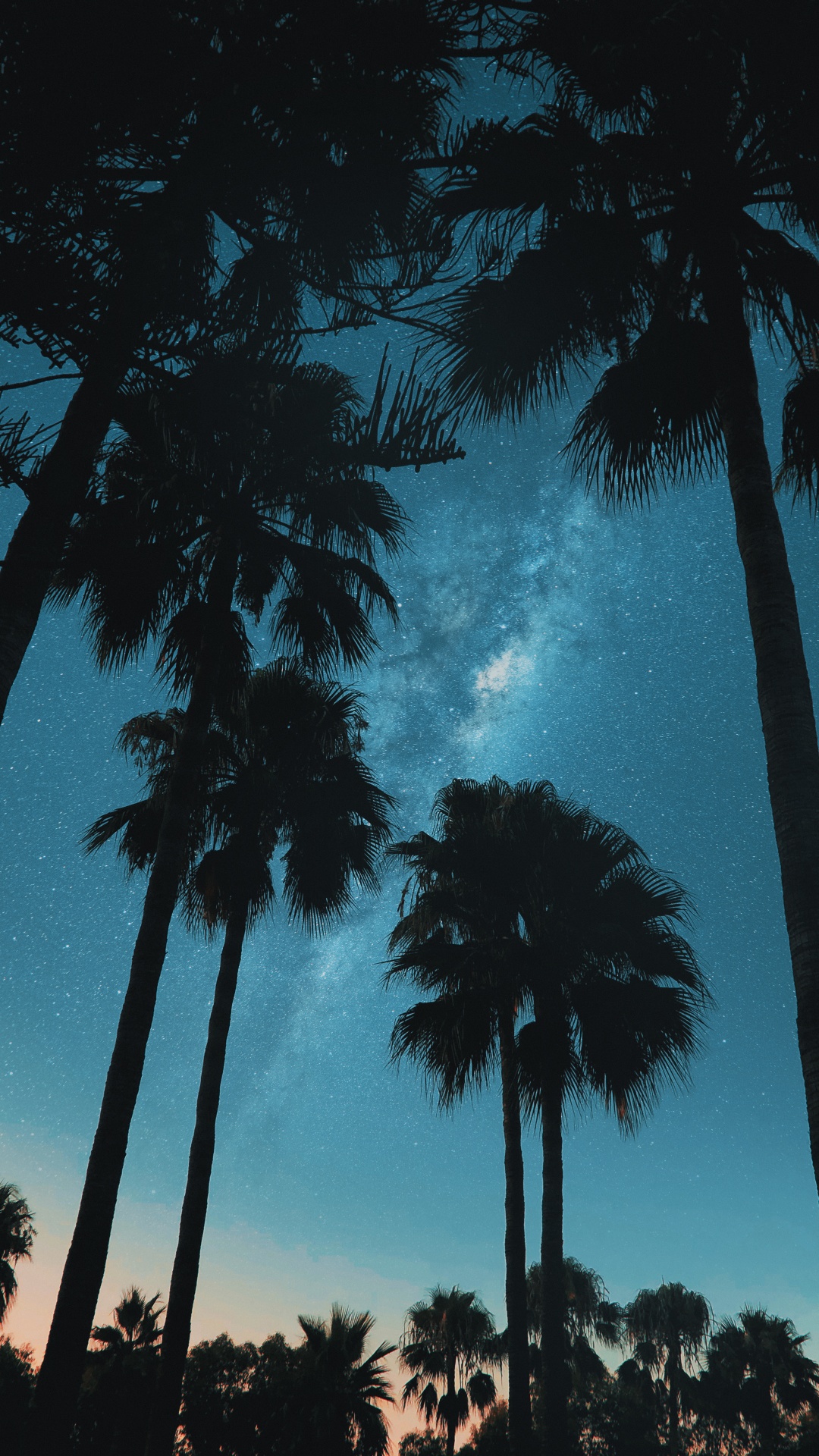 Ambiente, Azure, Sucursal, Paisaje Natural. Wallpaper in 1080x1920 Resolution