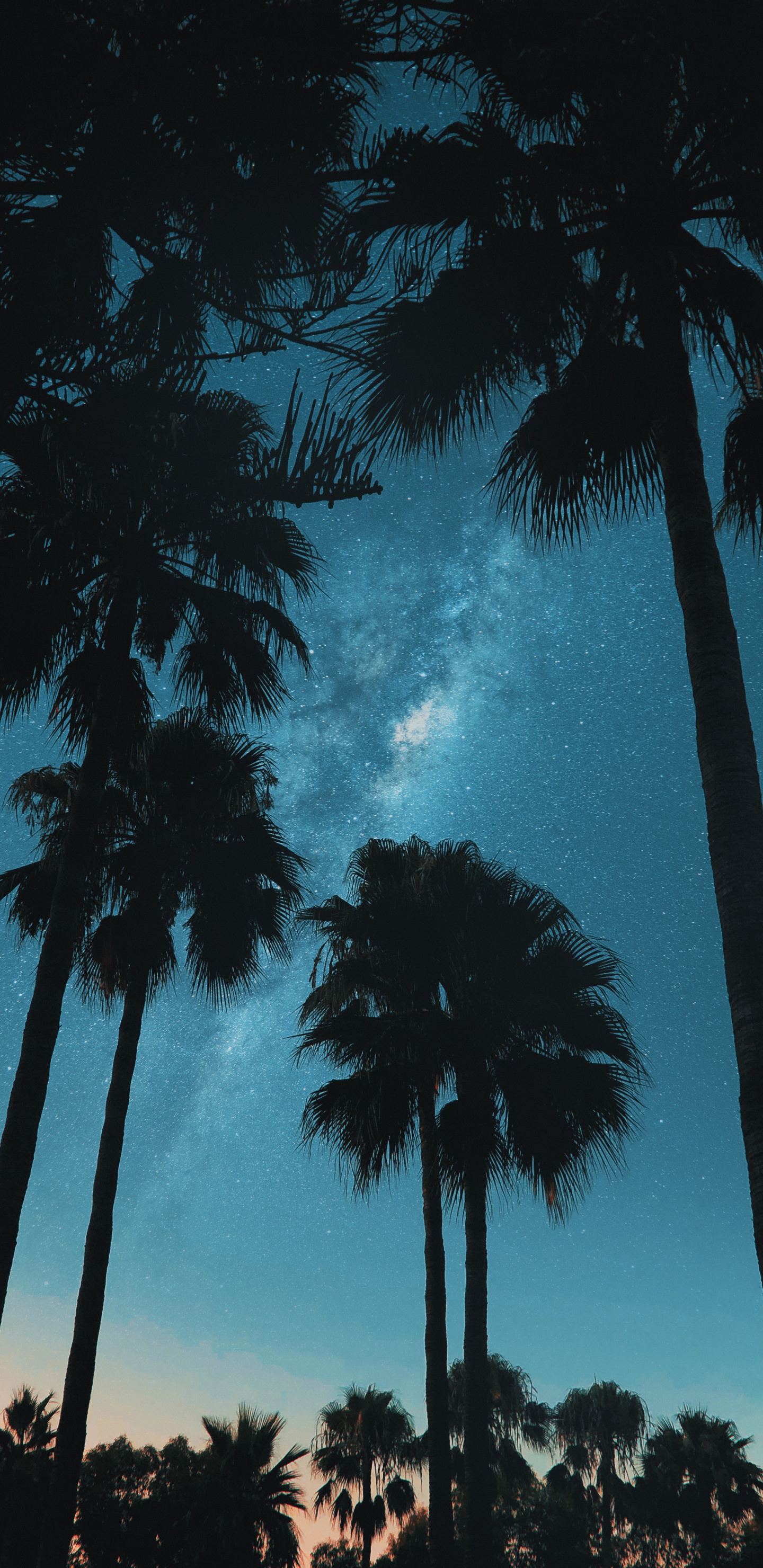 Ambiente, Azure, Sucursal, Paisaje Natural. Wallpaper in 1440x2960 Resolution