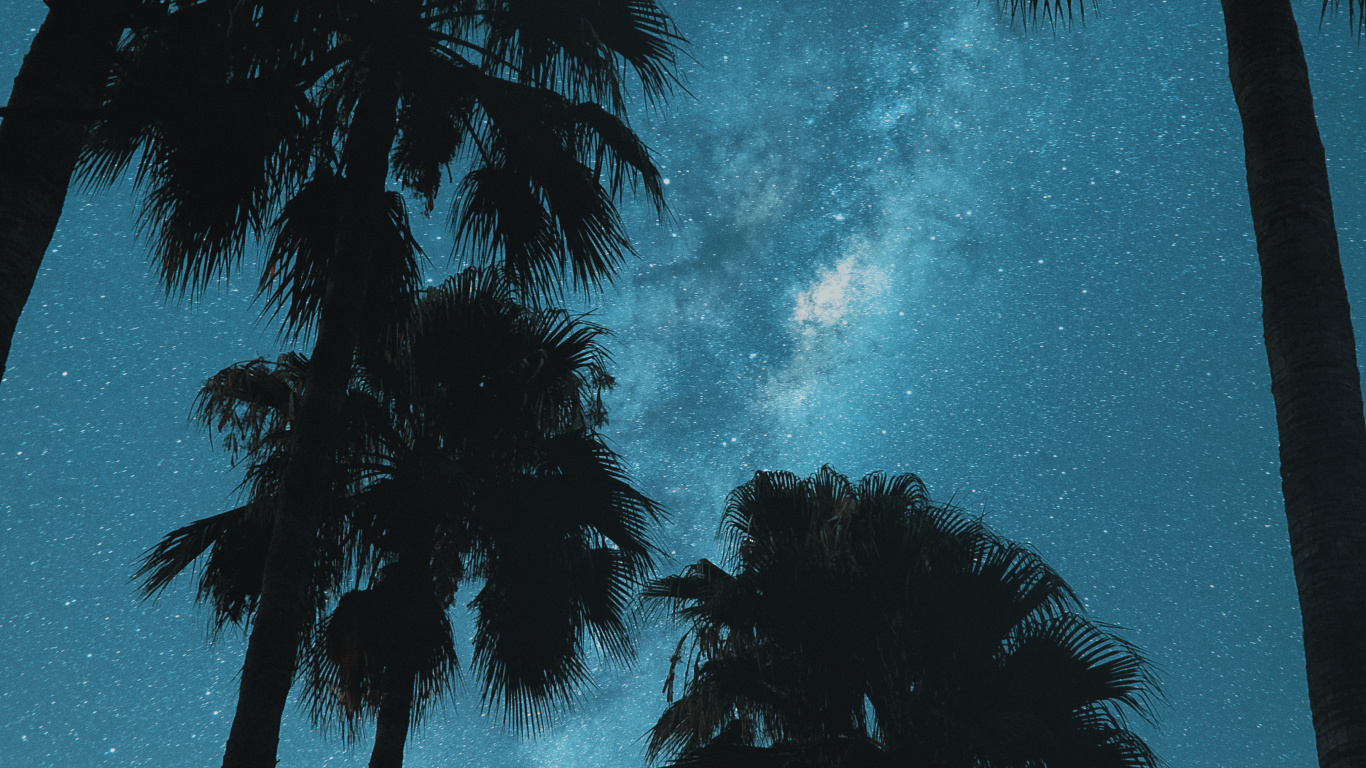 Cloud, Atmosphäre, Baum, Azure, Blatt. Wallpaper in 1366x768 Resolution