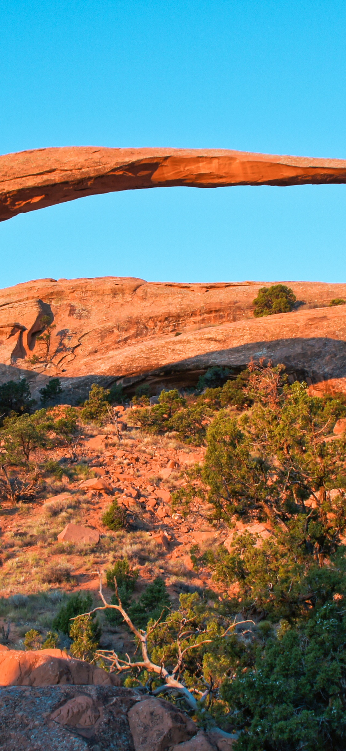 景观拱门, 天然拱门, 公园, 拱门, 形成 壁纸 1125x2436 允许