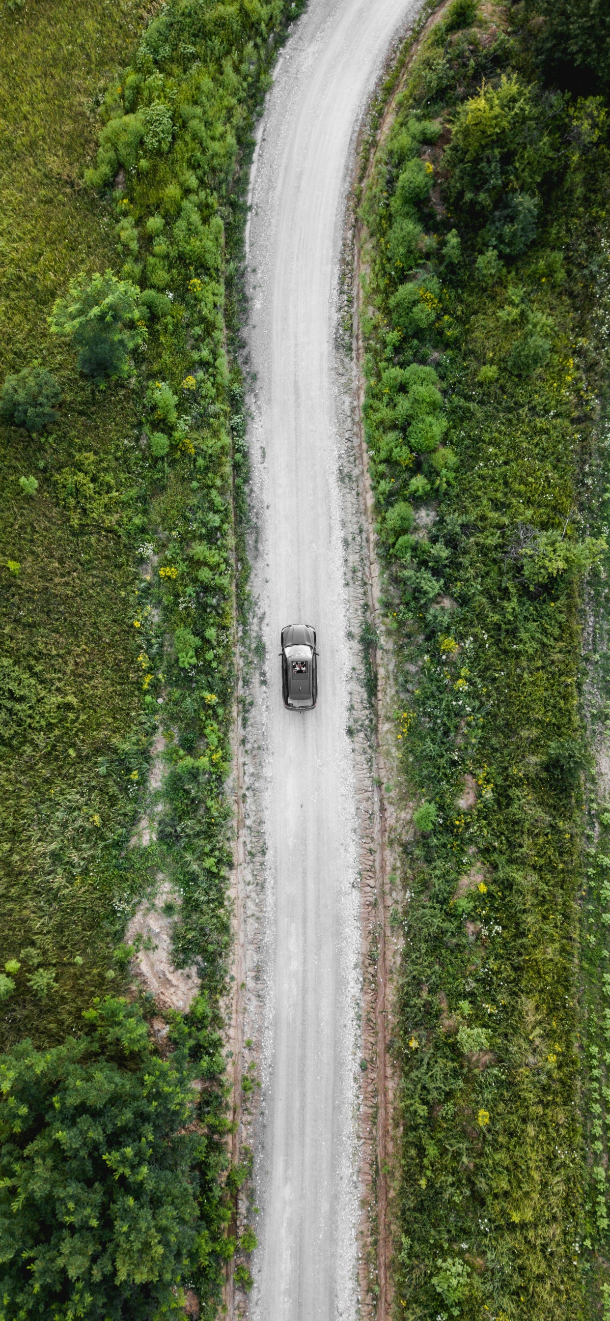 Vue Aérienne Des Arbres Verts et de la Rivière. Wallpaper in 1242x2688 Resolution