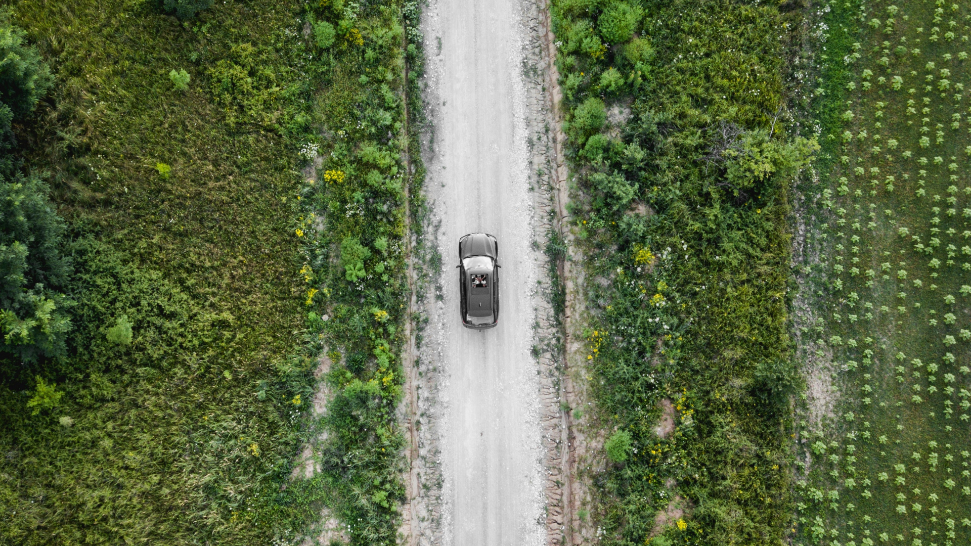 Vue Aérienne Des Arbres Verts et de la Rivière. Wallpaper in 1920x1080 Resolution